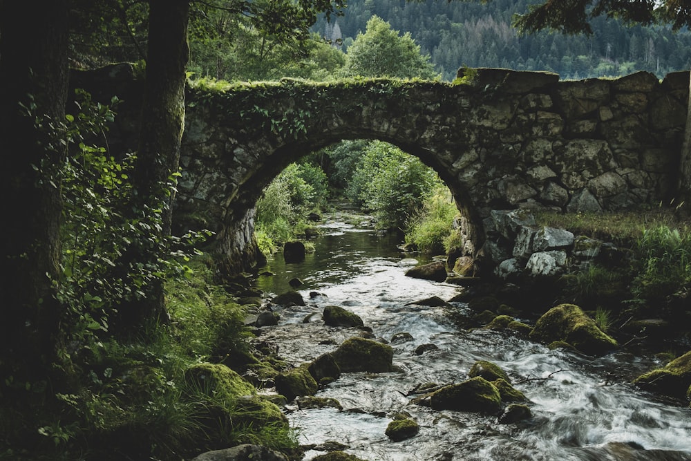 a stone bridge over a stream in a forest