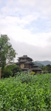 Photo of the Darul Ulum Bumi Mekongga foundation building in Wesalo village surrounded by lush greenery.