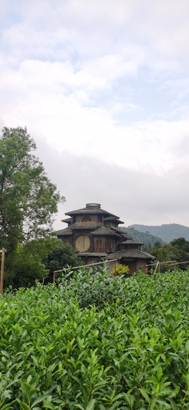 Photo of the Darul Ulum Bumi Mekongga foundation building in Wesalo village surrounded by lush greenery.