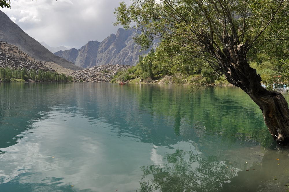 una gran masa de agua rodeada de montañas