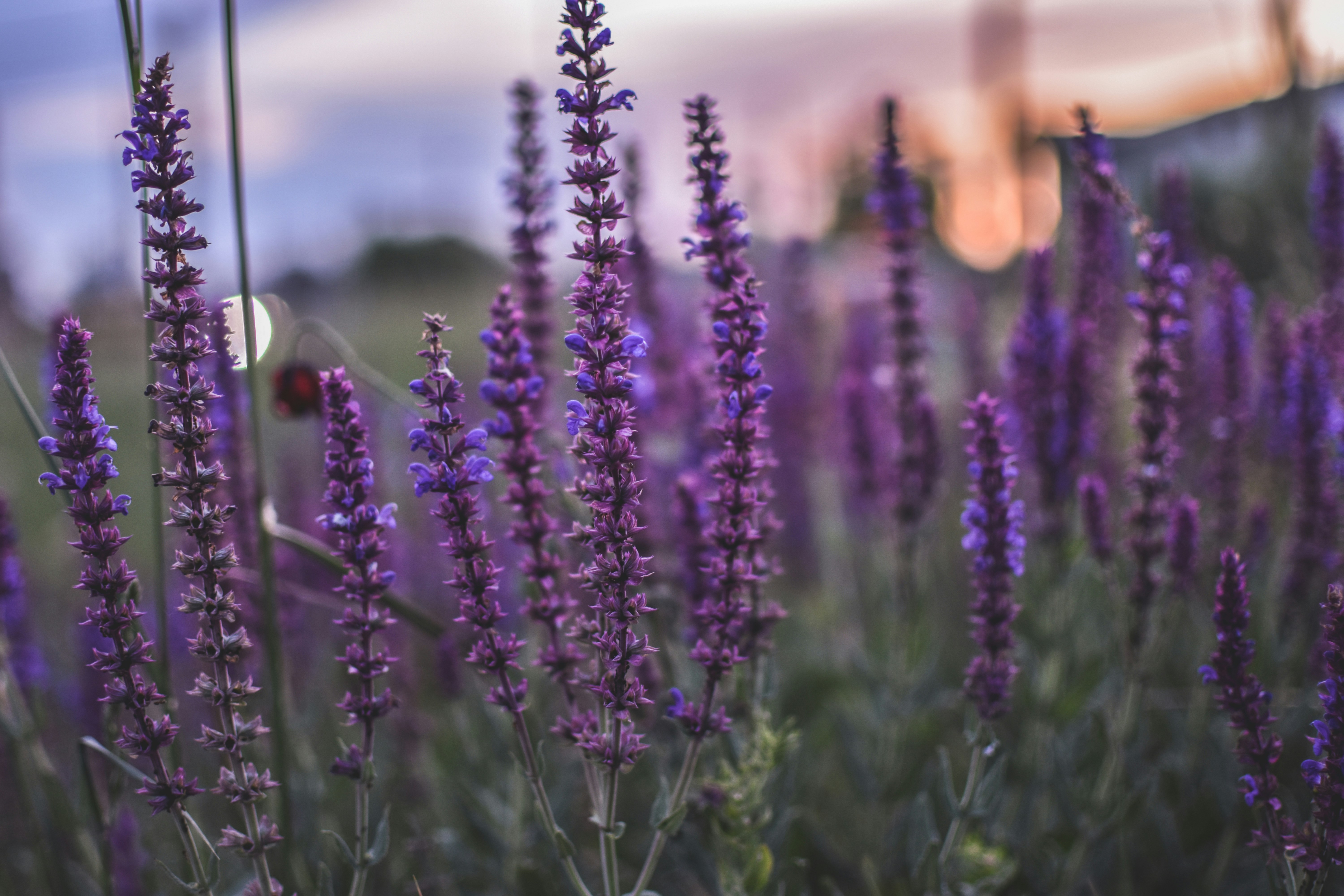 Photo by beckyb0o0o0