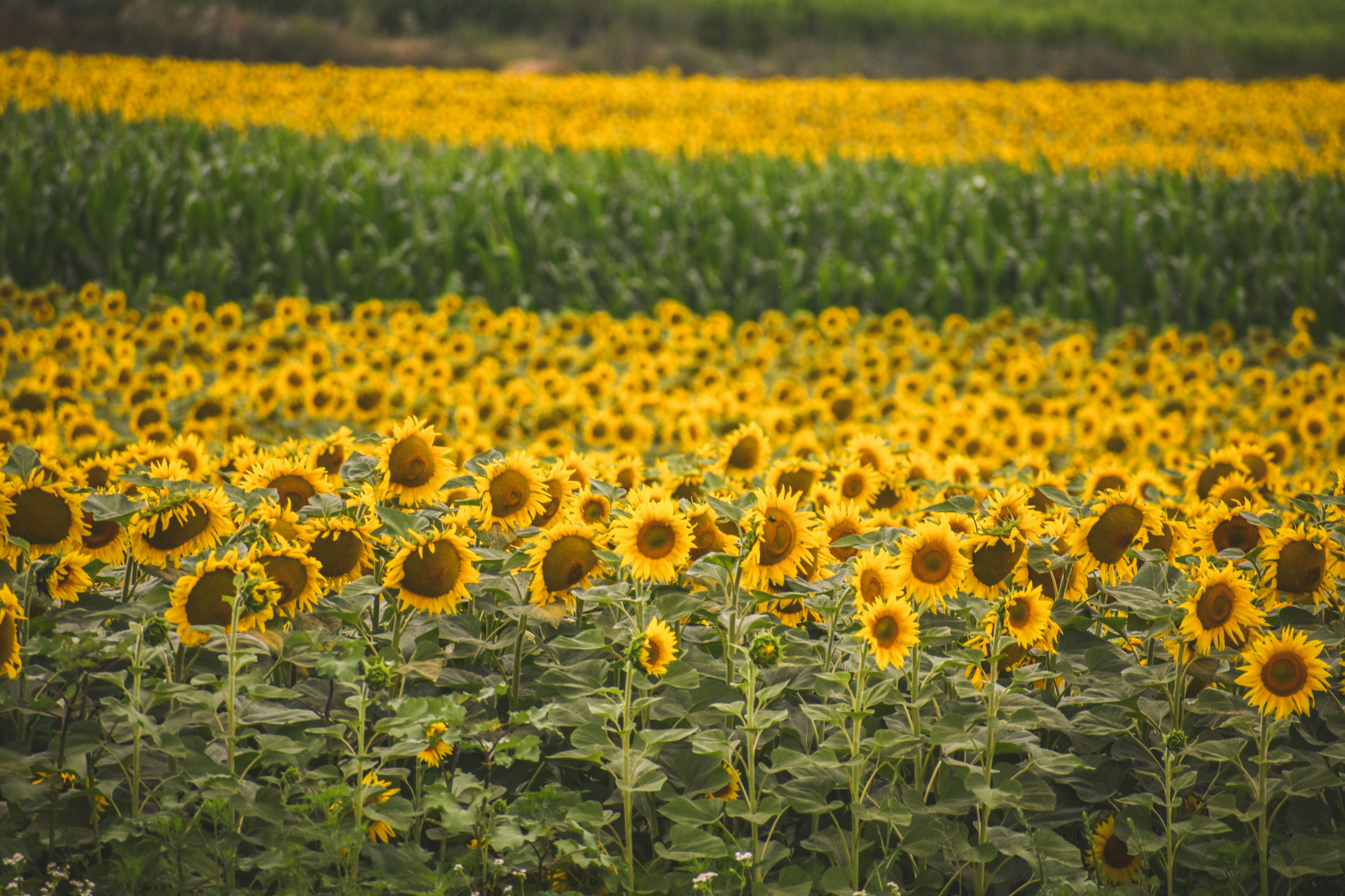 Photo by beckyb0o0o0