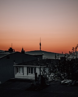 A sunset silhouette of an Allen standing on a hill overlooking the city