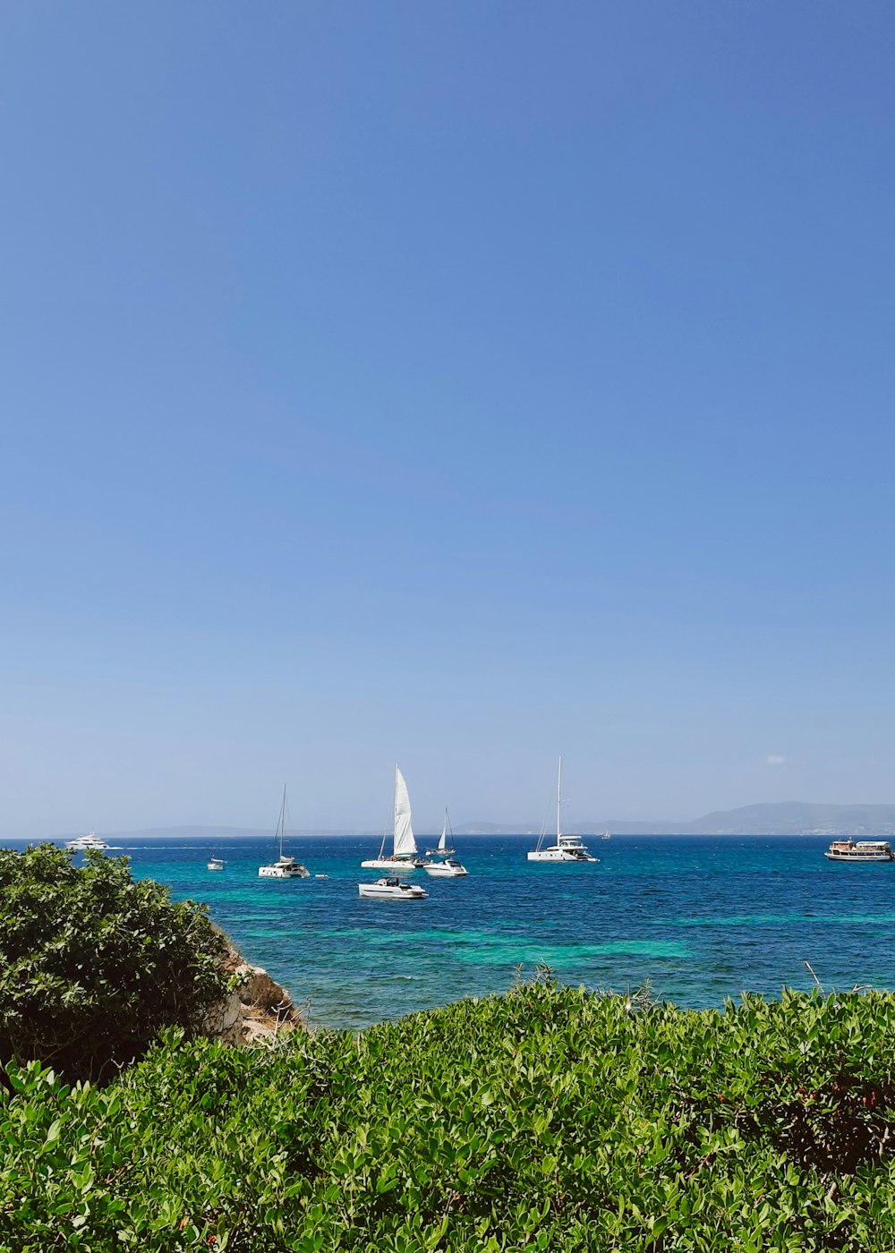 a group of boats floating on top of a body of water