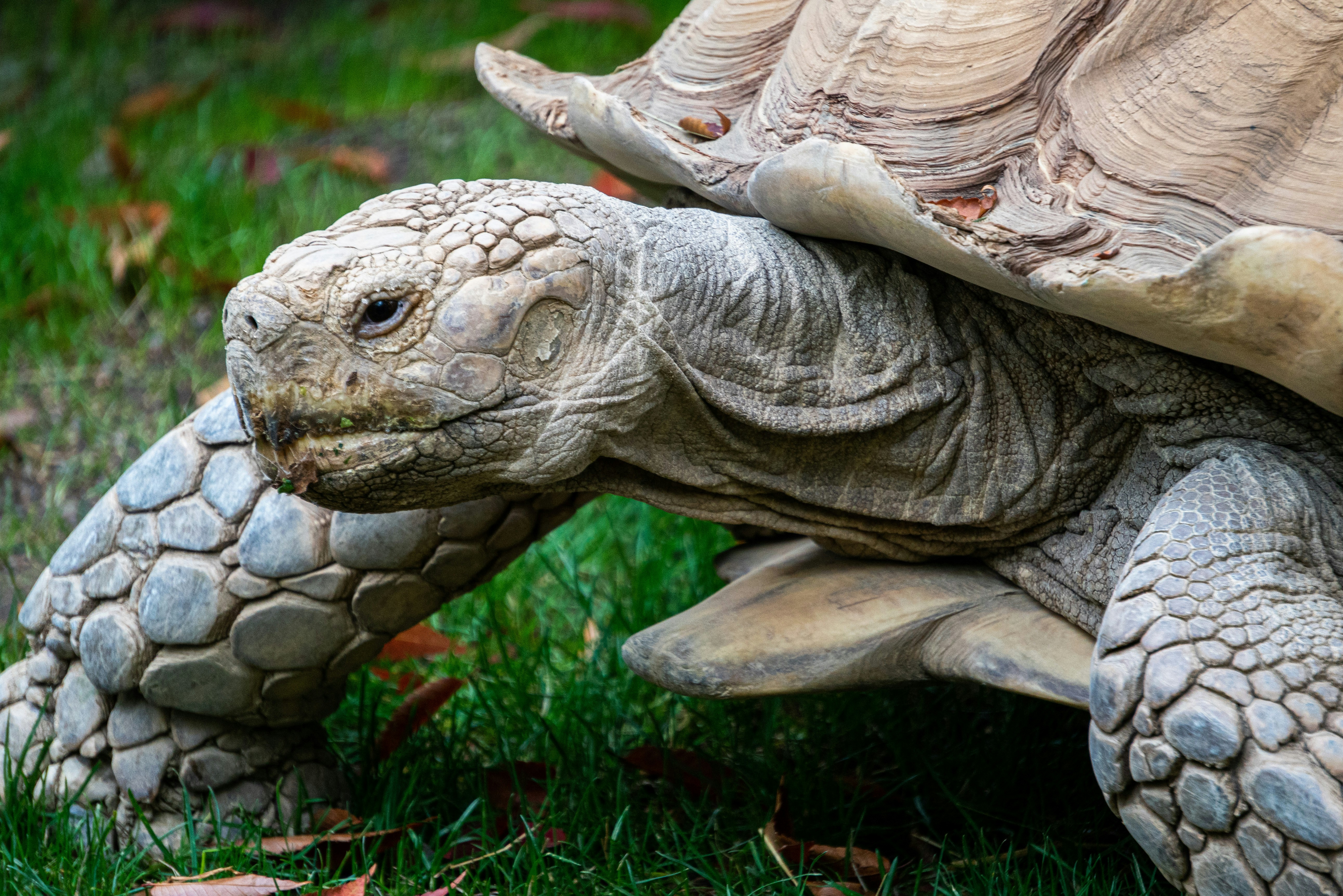 Photo by eddiecoyote