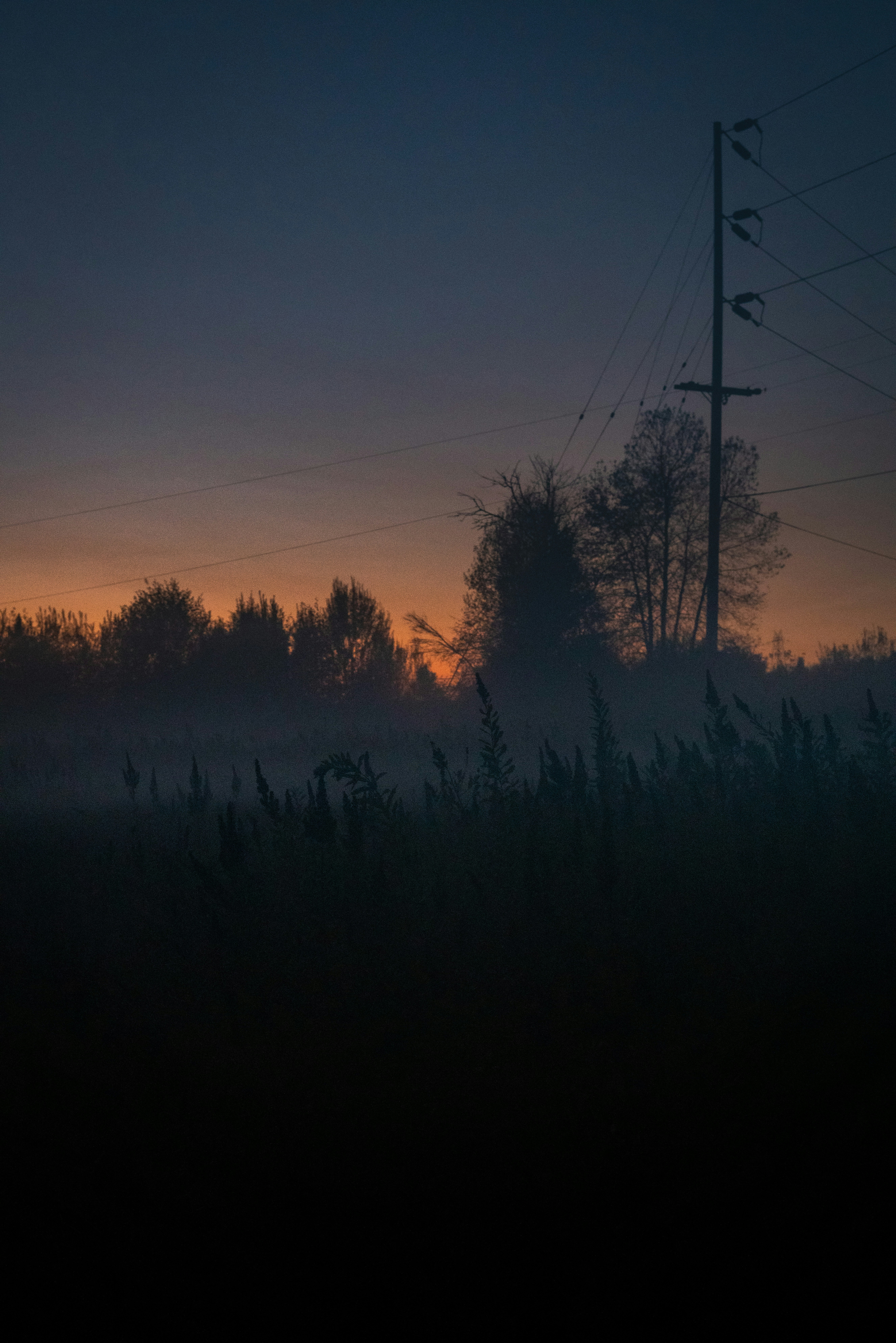 멀리 전신주가 있는 안개 낀 들판
