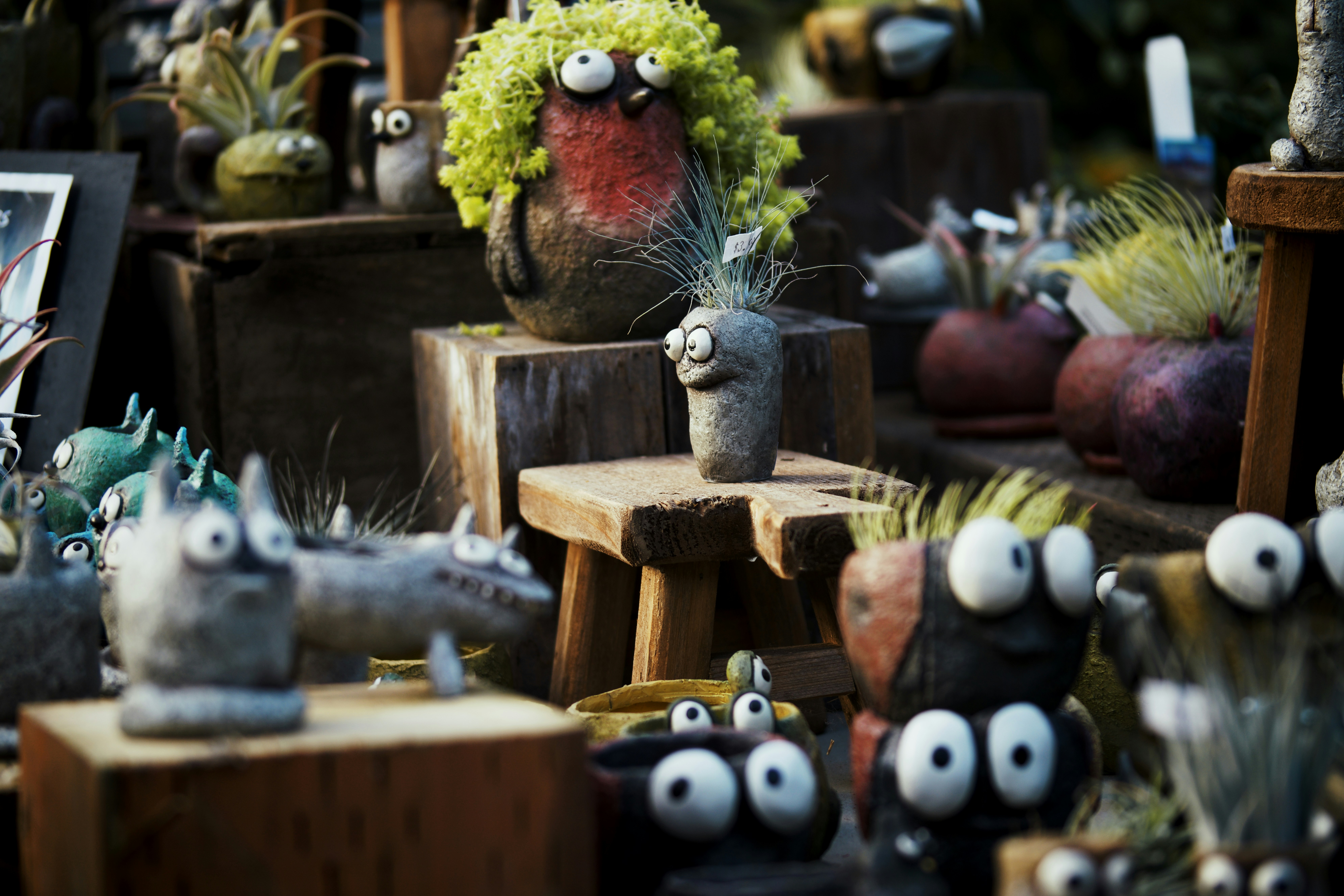 Photo by eddiecoyote