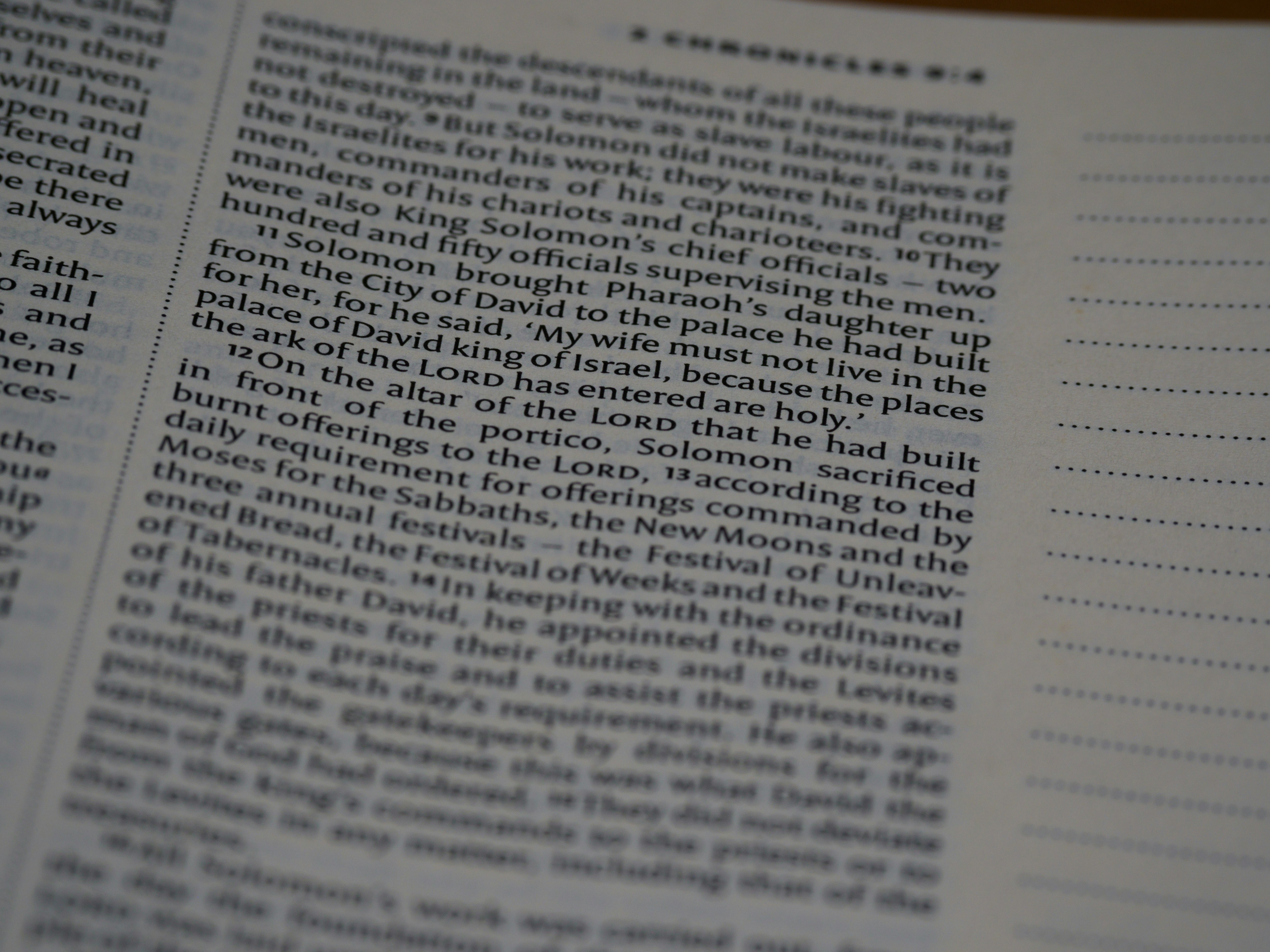 Photo by brett_jordan