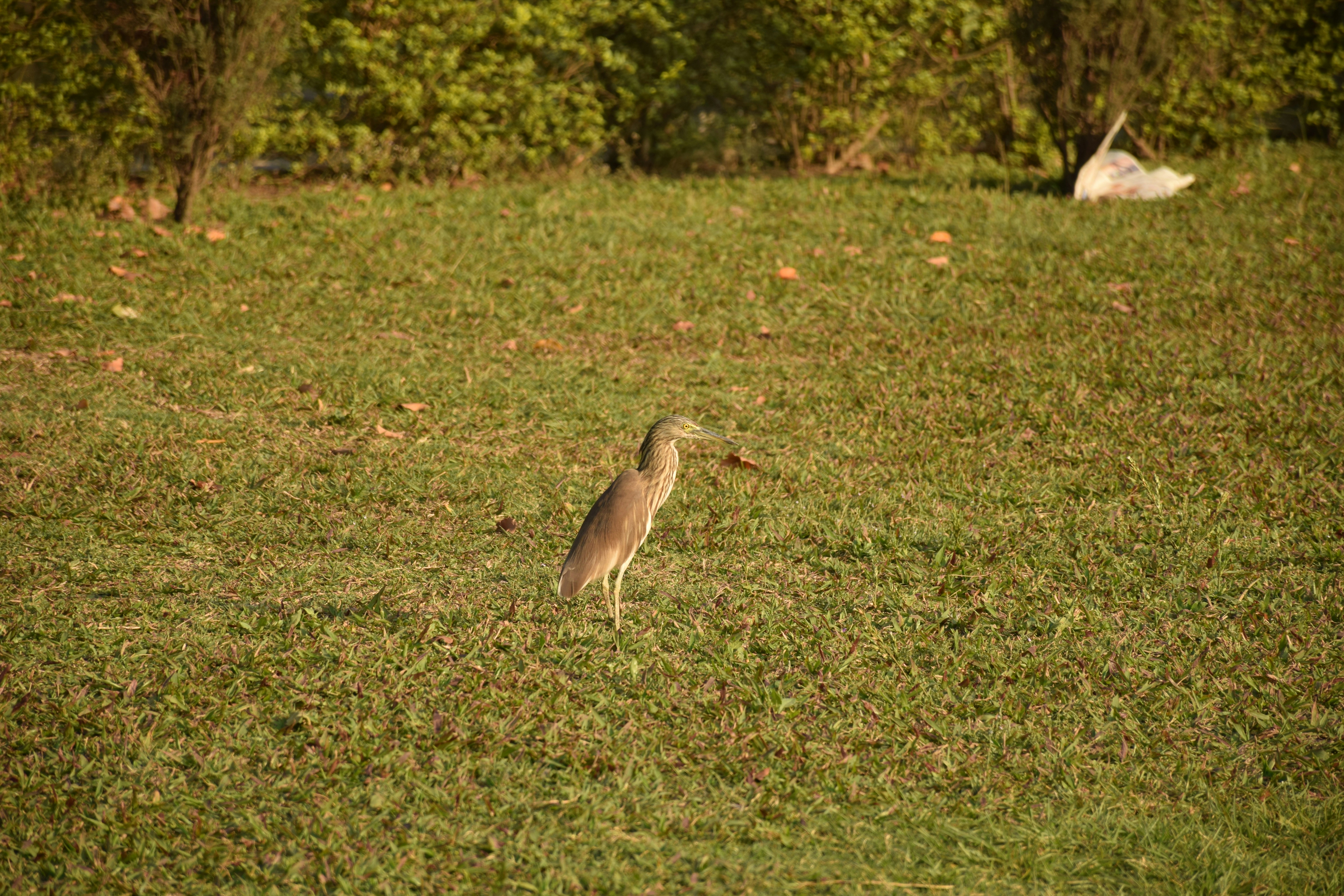 Photo by any_street_photo