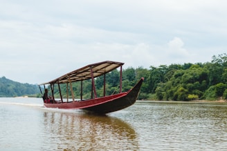 A long wooden boat with a canopy sails across a calm river. The boat is painted red with a white interior and is operated by a person seated at the back. Dense green forest lines the riverbank under a cloudy sky.