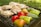 Several pieces of seasoned chicken alongside colorful bell peppers are grilling on a barbecue under sunny conditions. The chicken is lightly charred, and the bell peppers display vibrant shades of red, orange, and green. Charcoal can be seen beneath the grill, and the scene seems to be outdoors, indicated by the blurred green background suggesting grass or garden foliage.