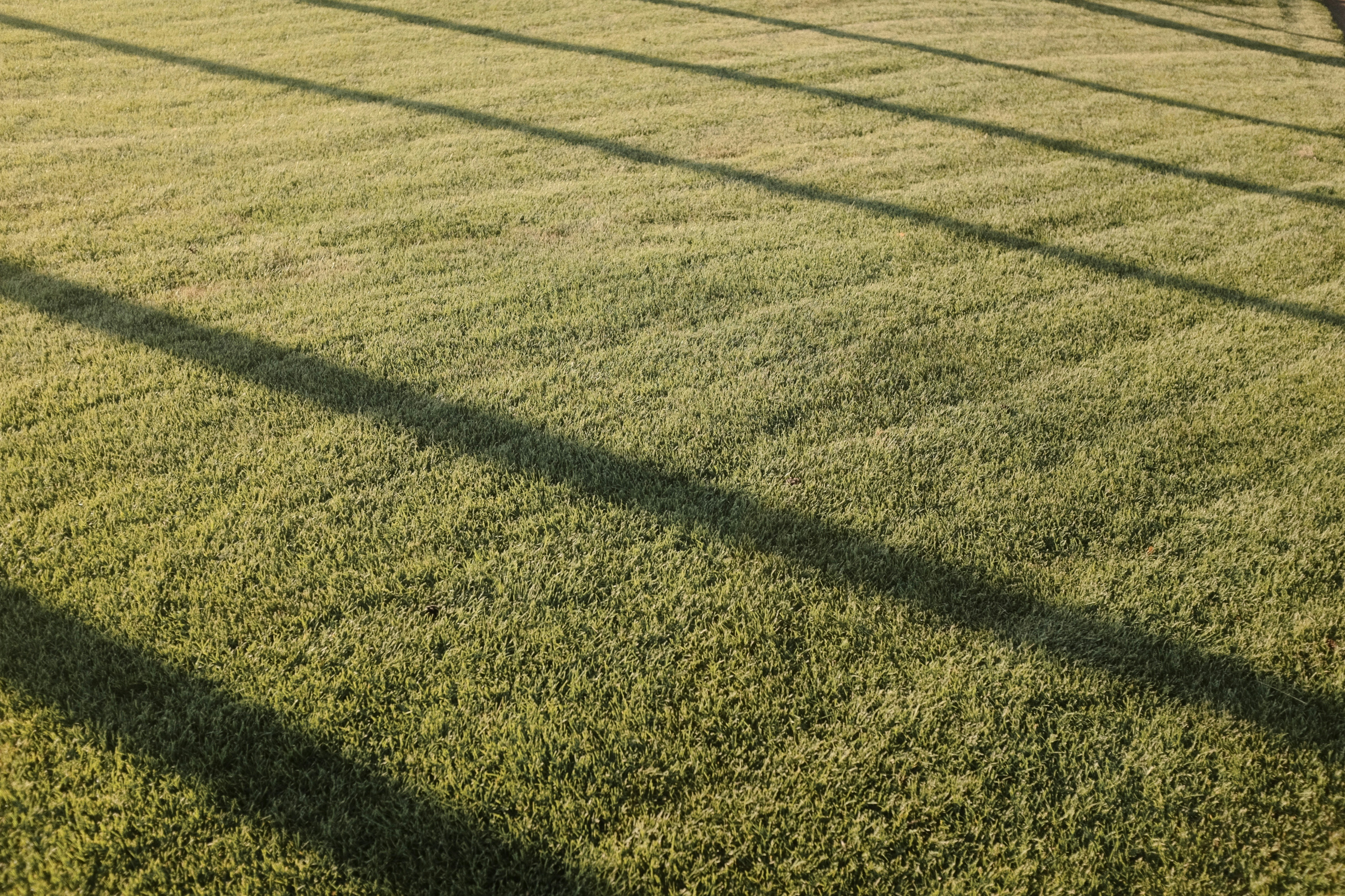 Photo by onegrandtrip