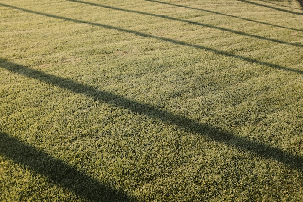 the shadow of a fence on the grass