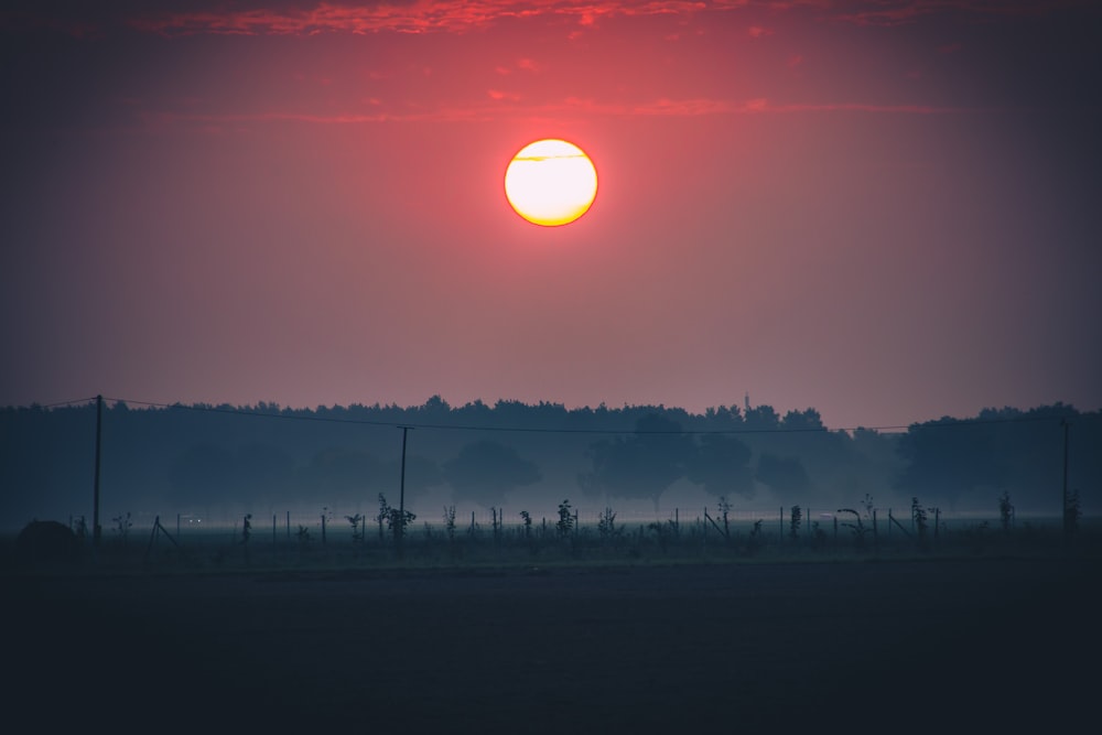 the sun is setting over the horizon of a field