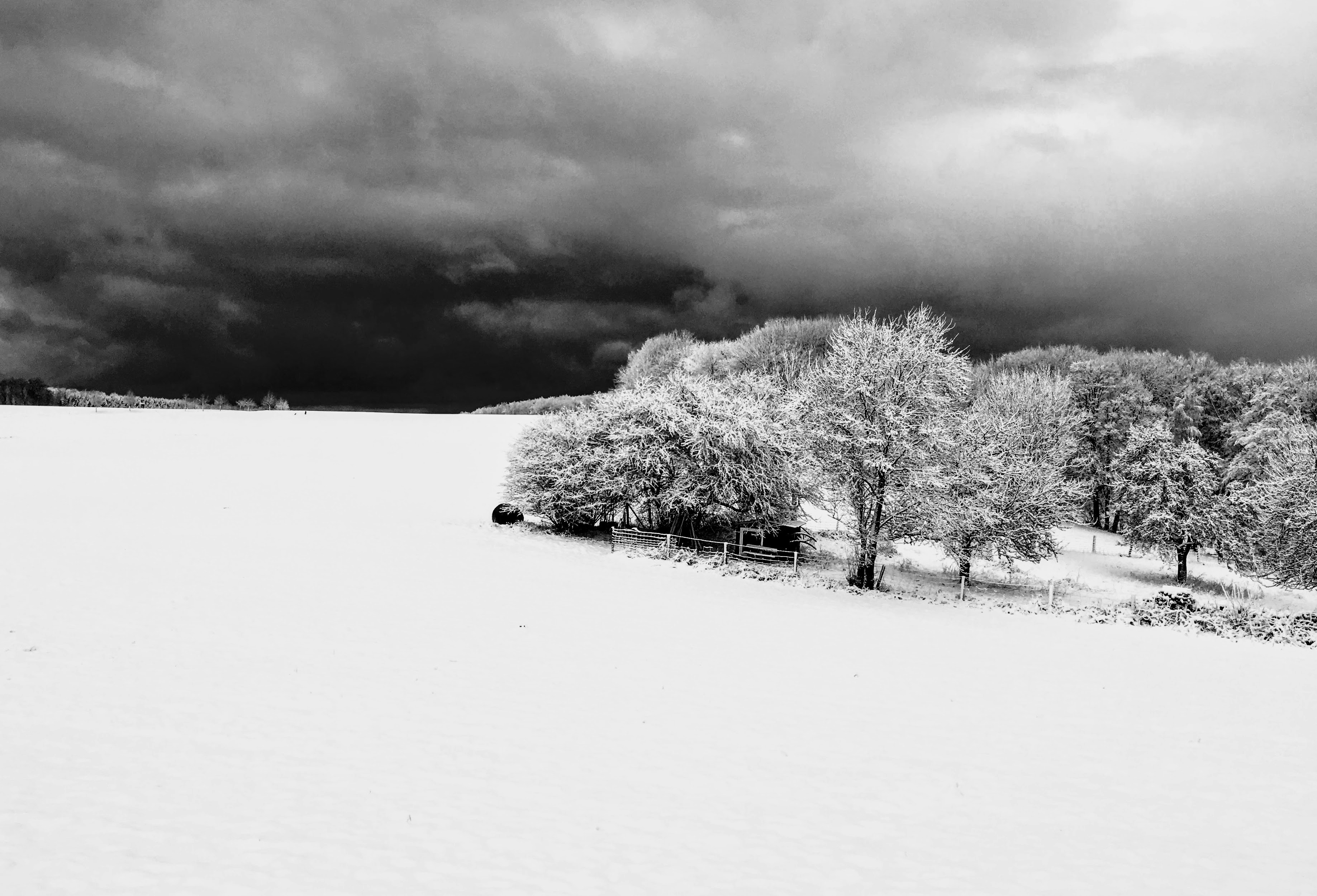Photo by hdbernd