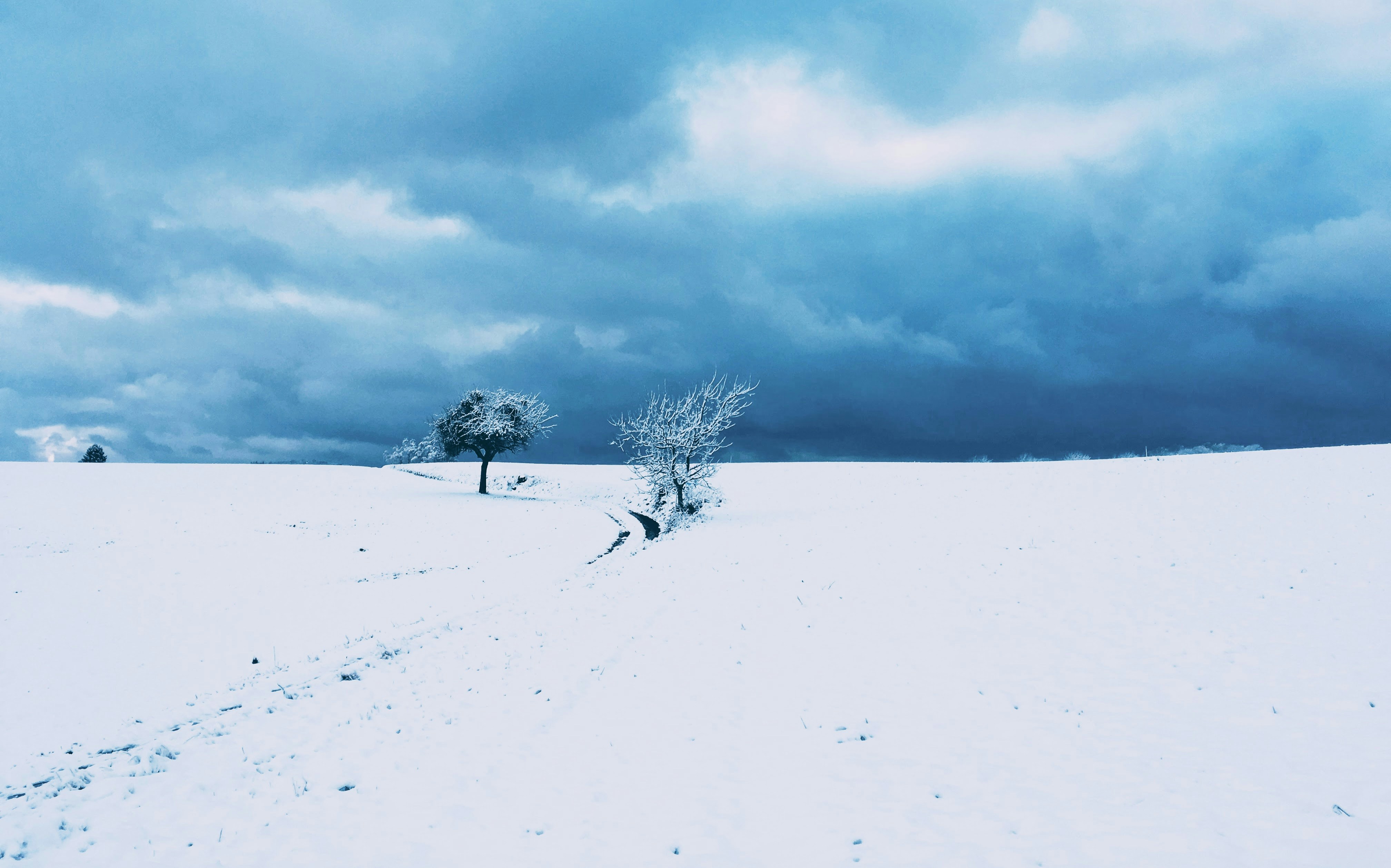 Photo by hdbernd