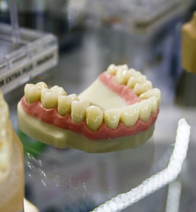 a close up of a model of a tooth