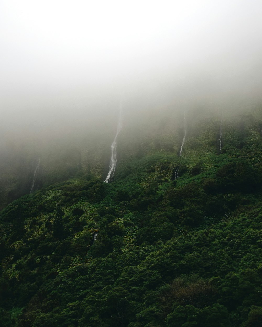 a very tall green hill covered in fog