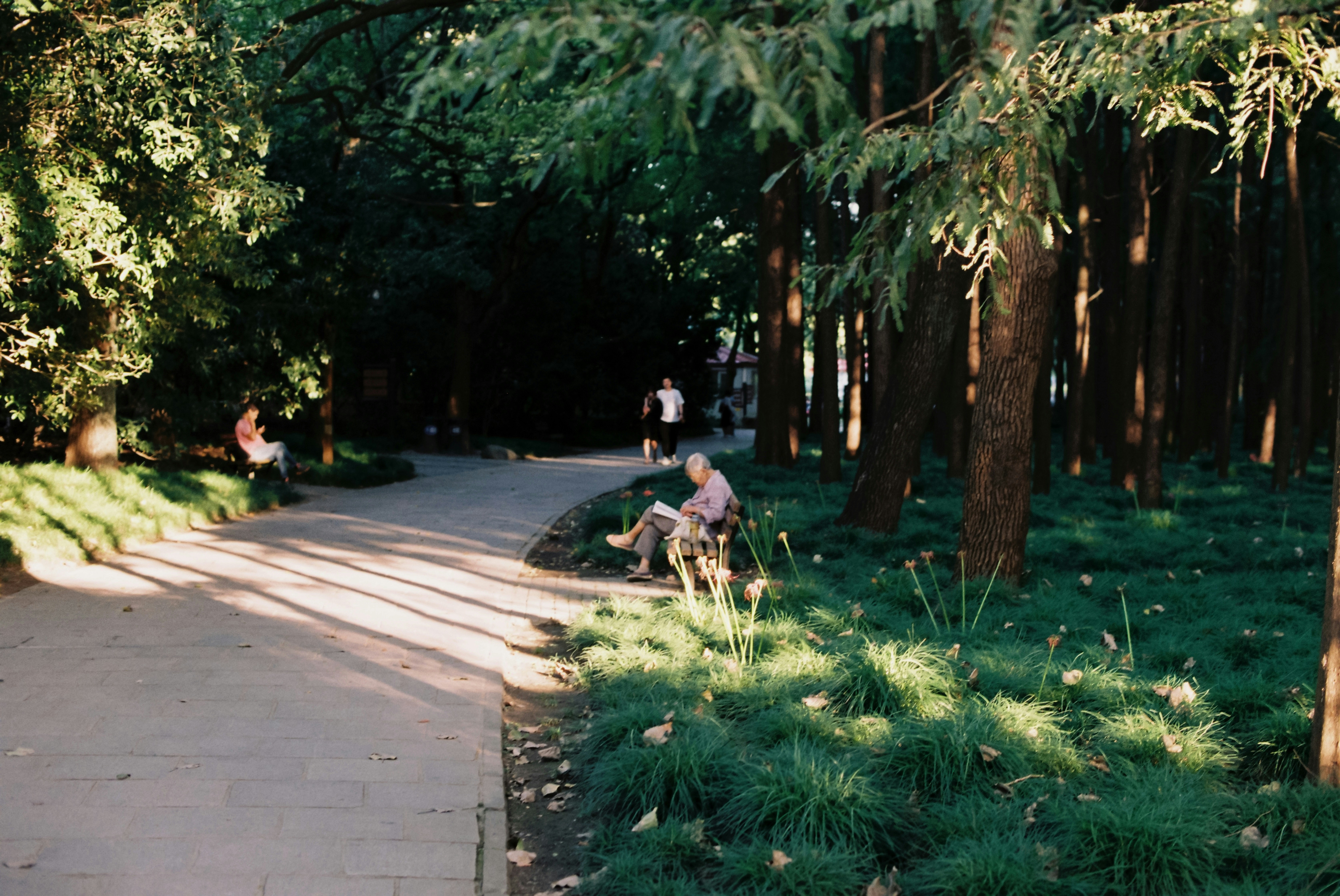 Photo by geraltyichen