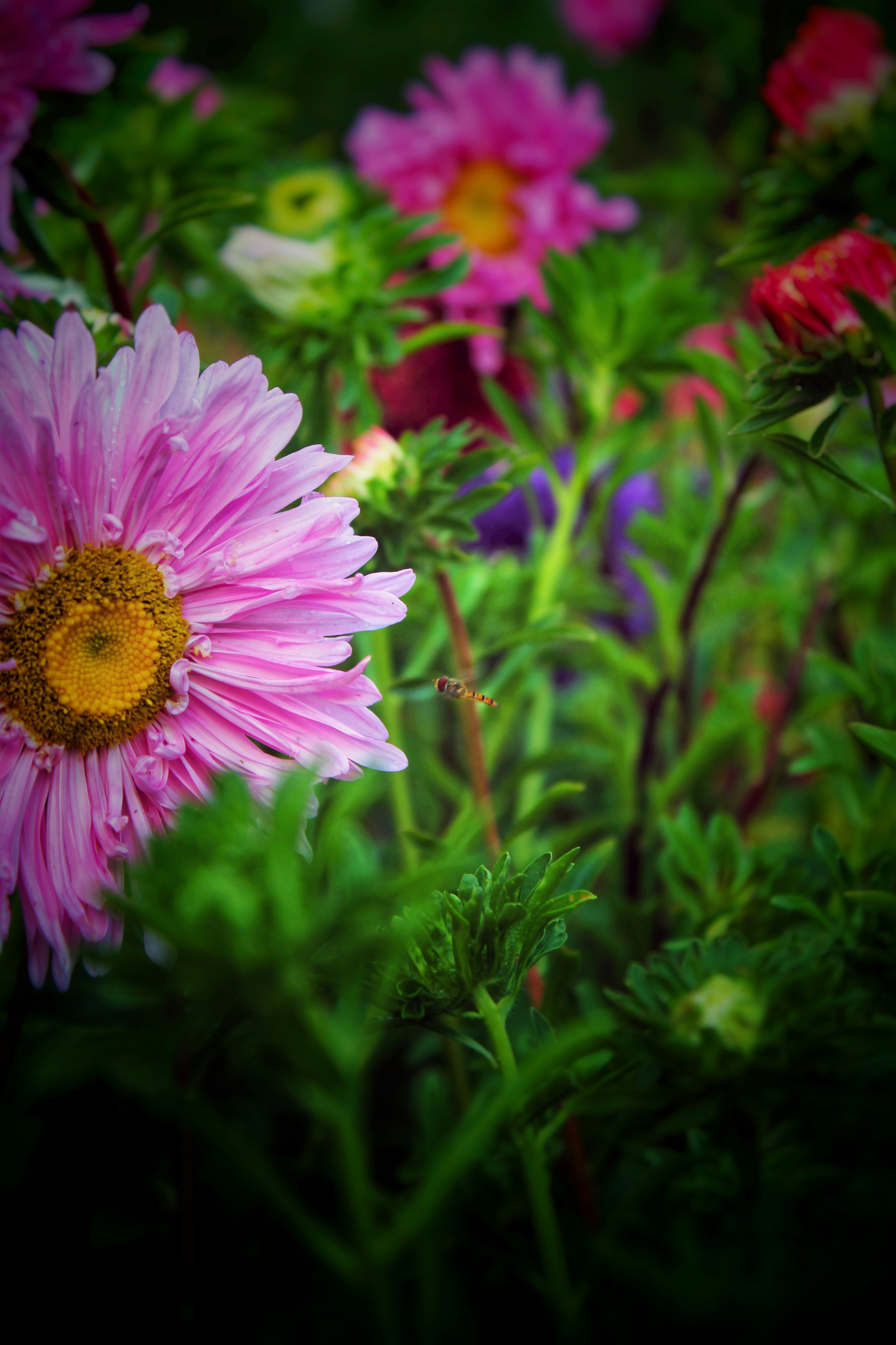 Photo by faridvisuals