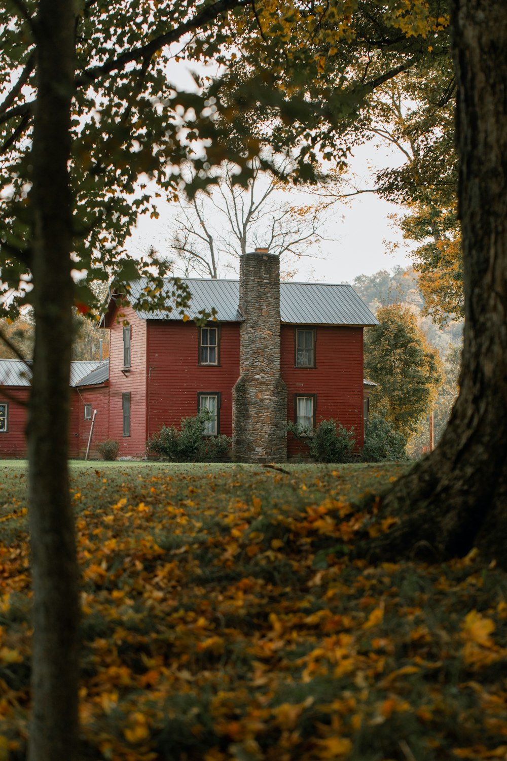 a red house surrounded by trees and leaves