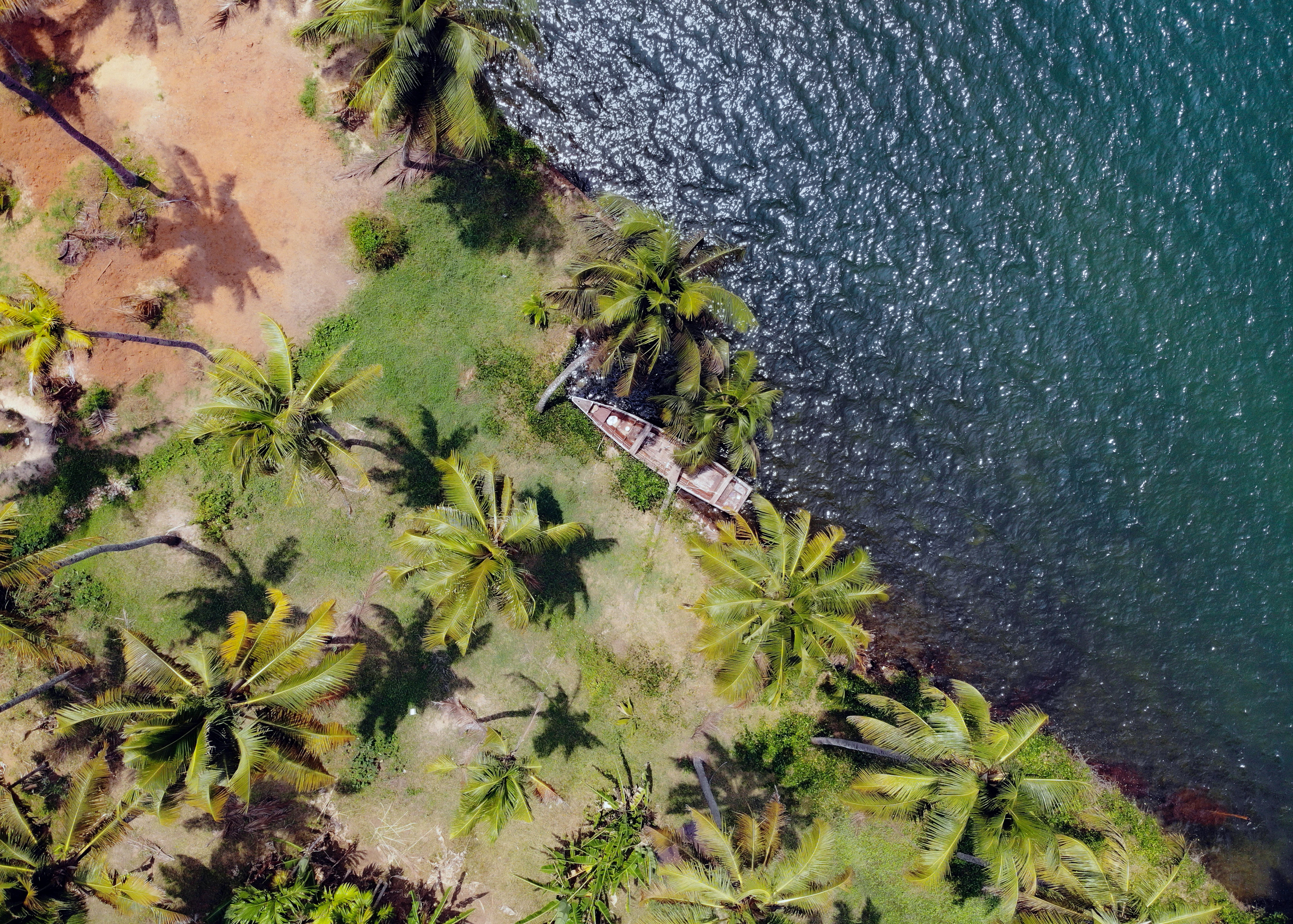 Aerial view of a palm-fringed Kerala beach