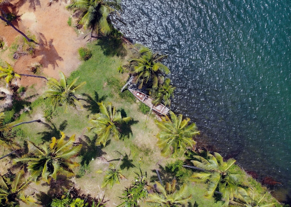 an aerial view of a beach with palm trees