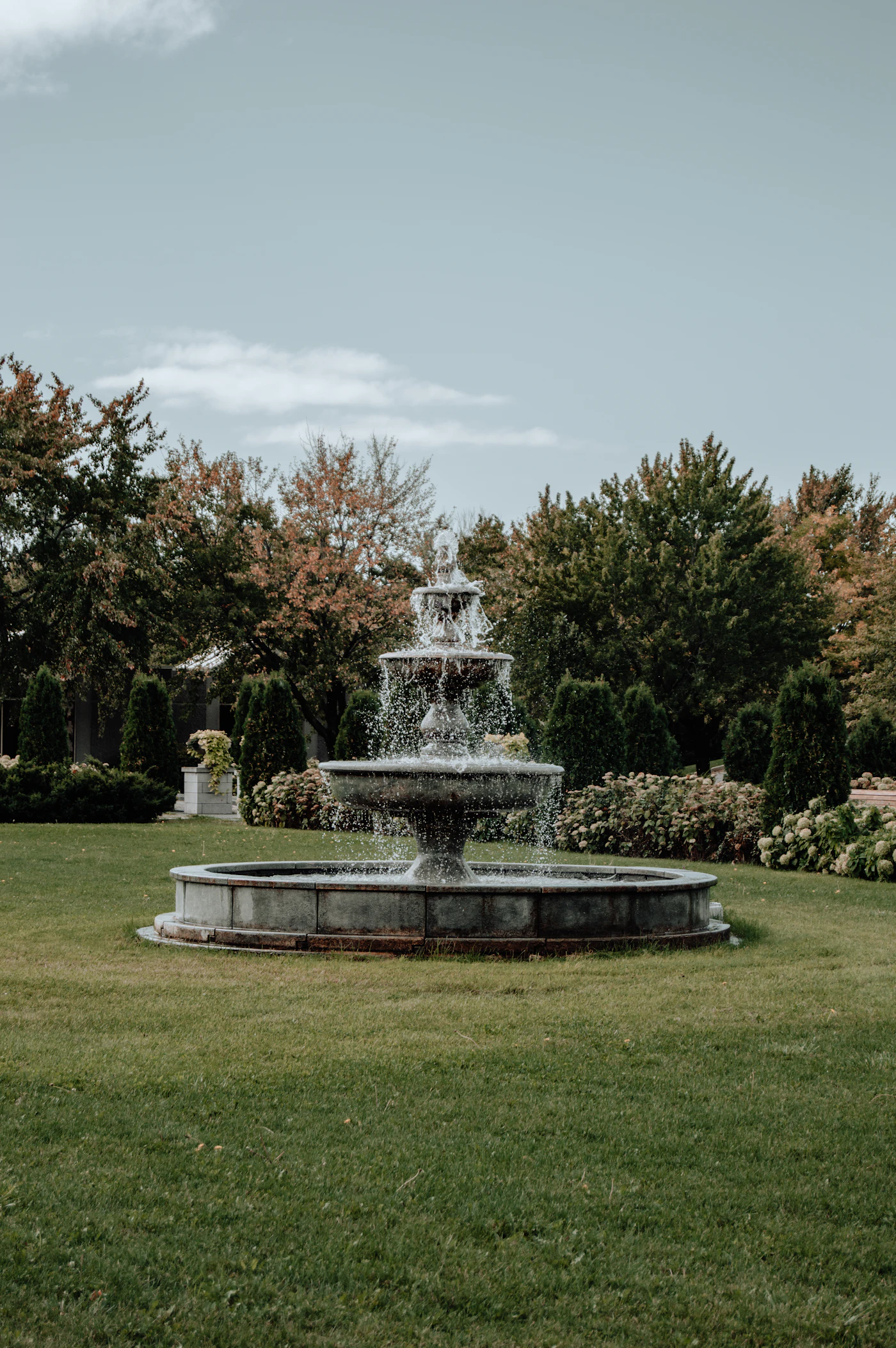 Bassin de jardin mature avec plantes aquatiques et eau limpide