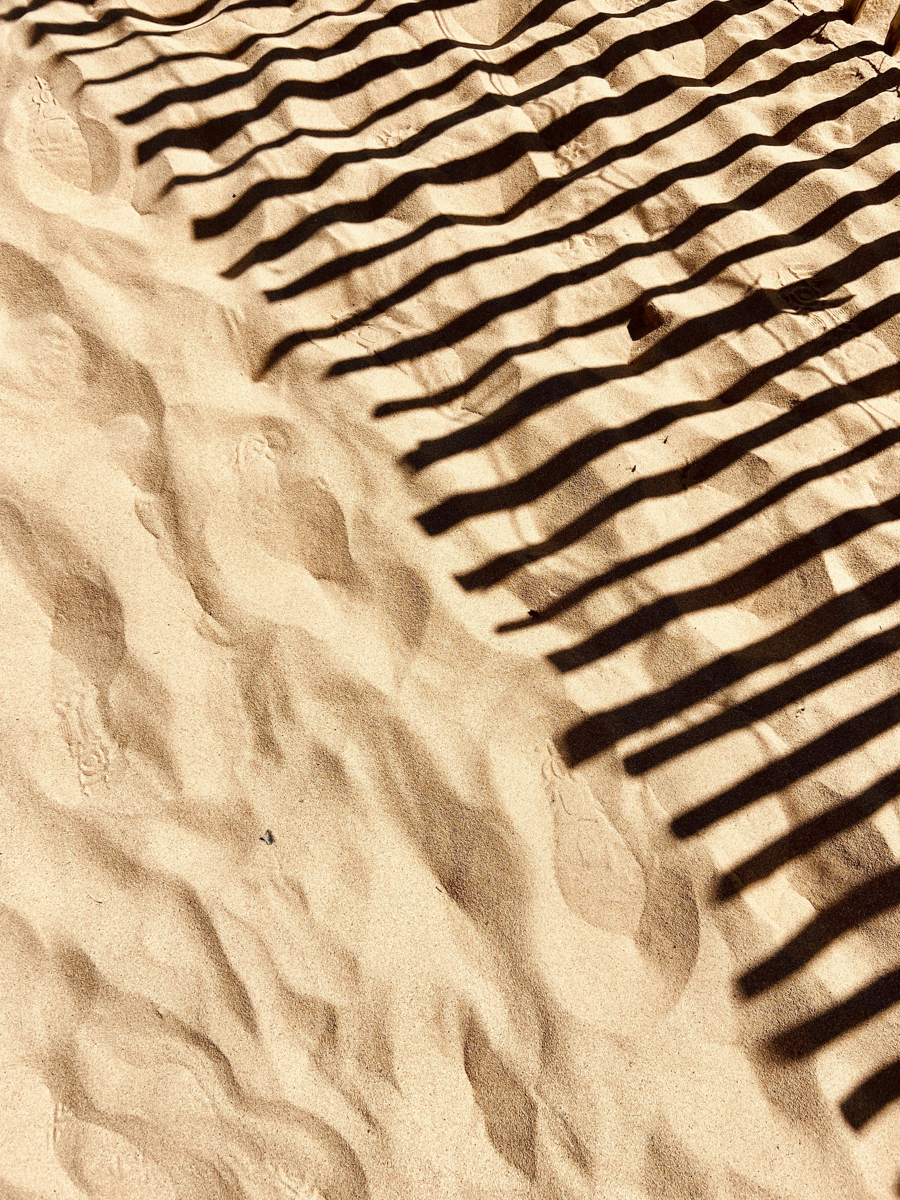 Choose from a curated selection of sun photos. Always free on Unsplash.