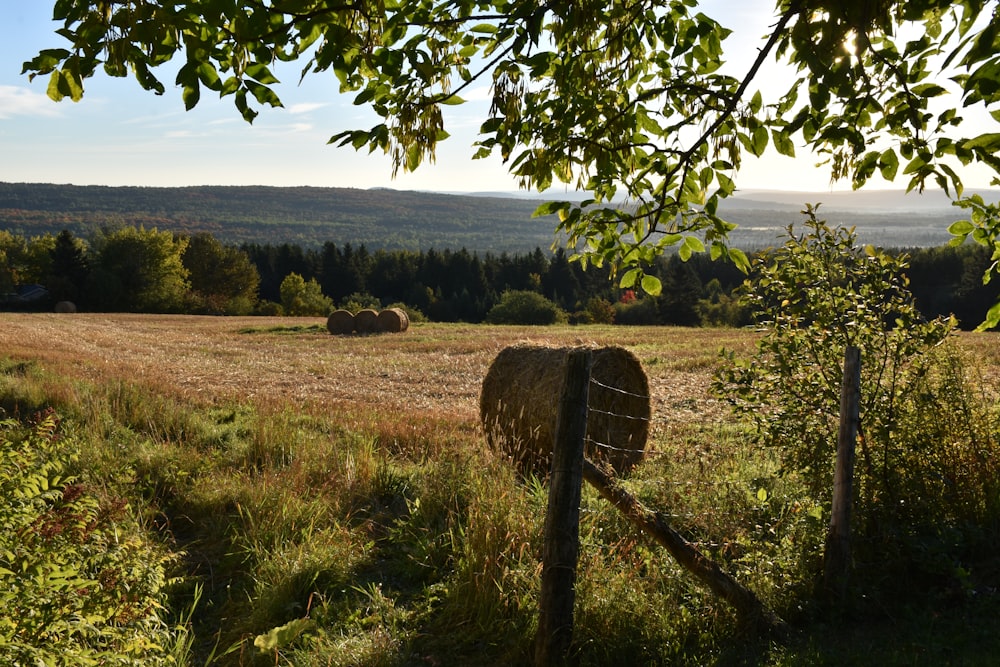 a field with hay bales in the distance