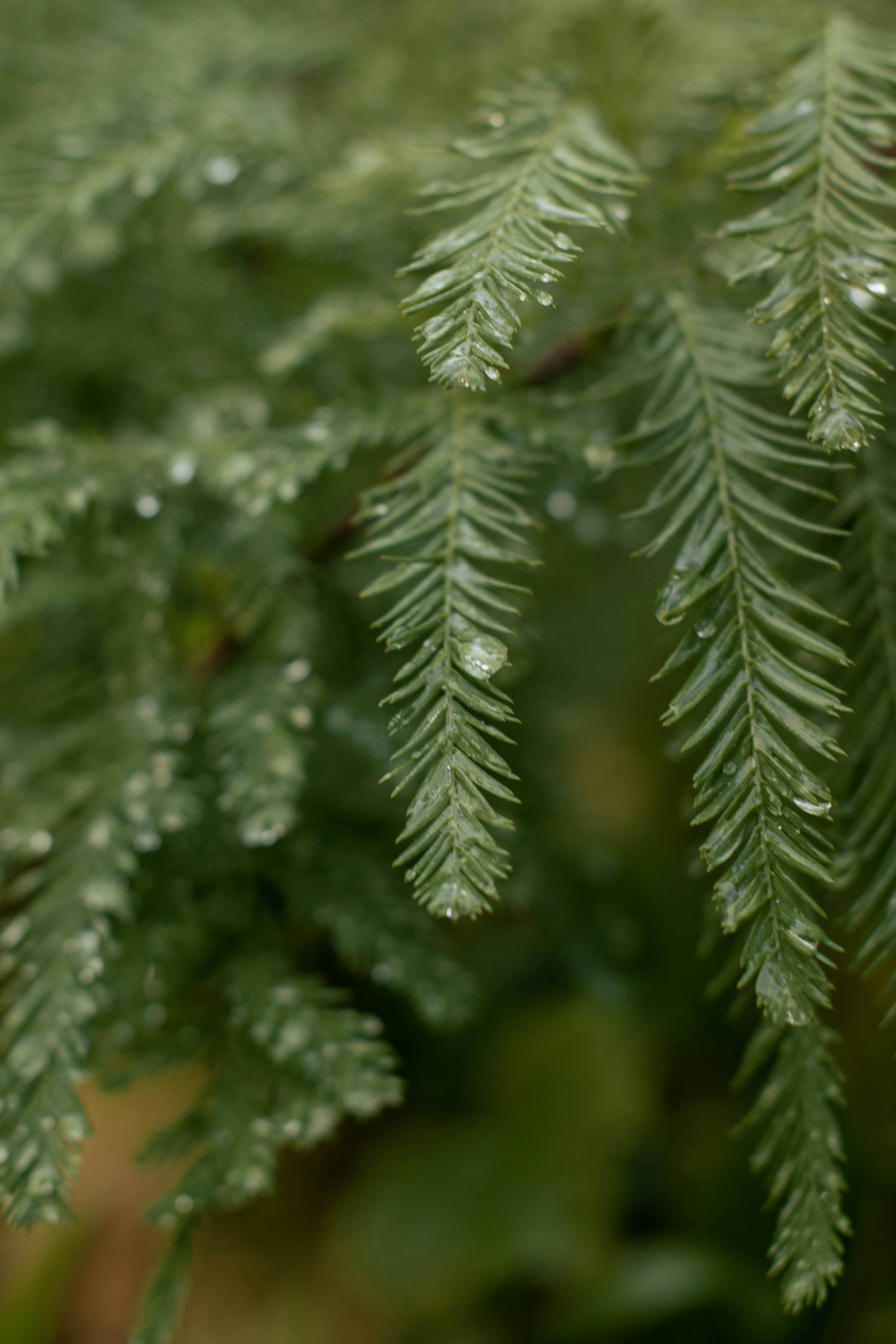 Photo by mariahhewines