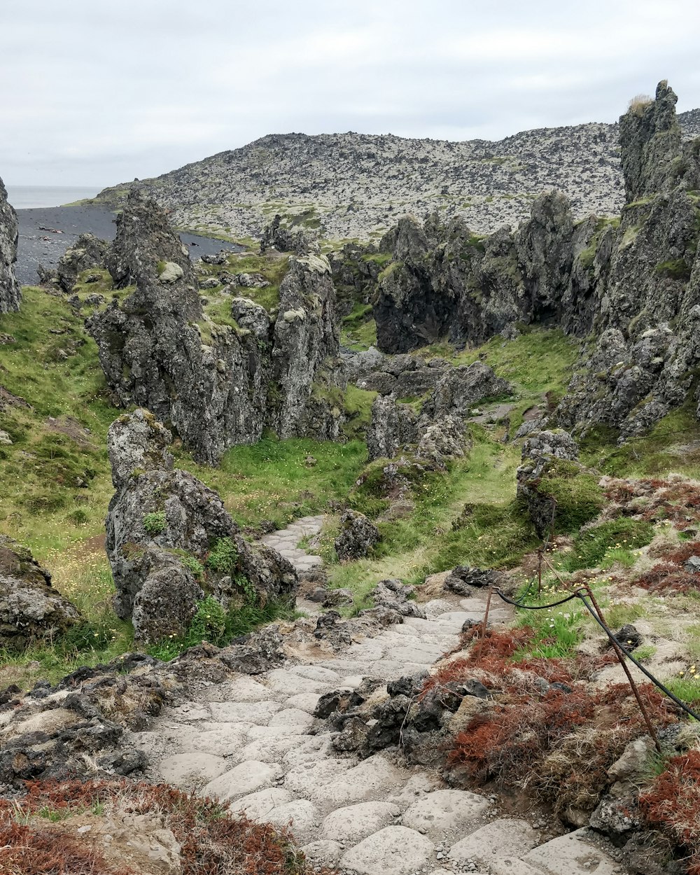 um caminho de pedra em uma área rochosa com grama e rochas