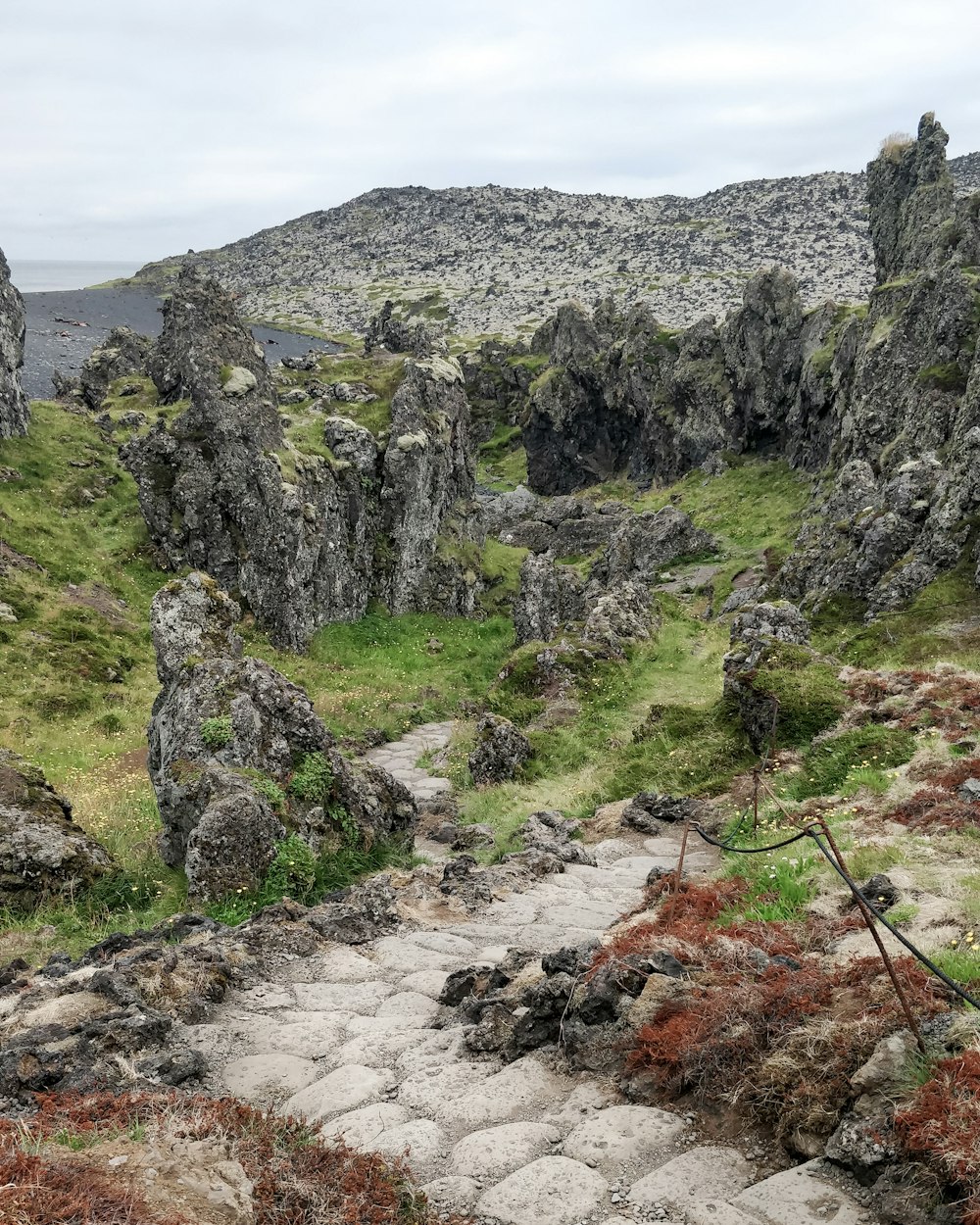 Un camino de piedra en una zona rocosa con hierba y rocas