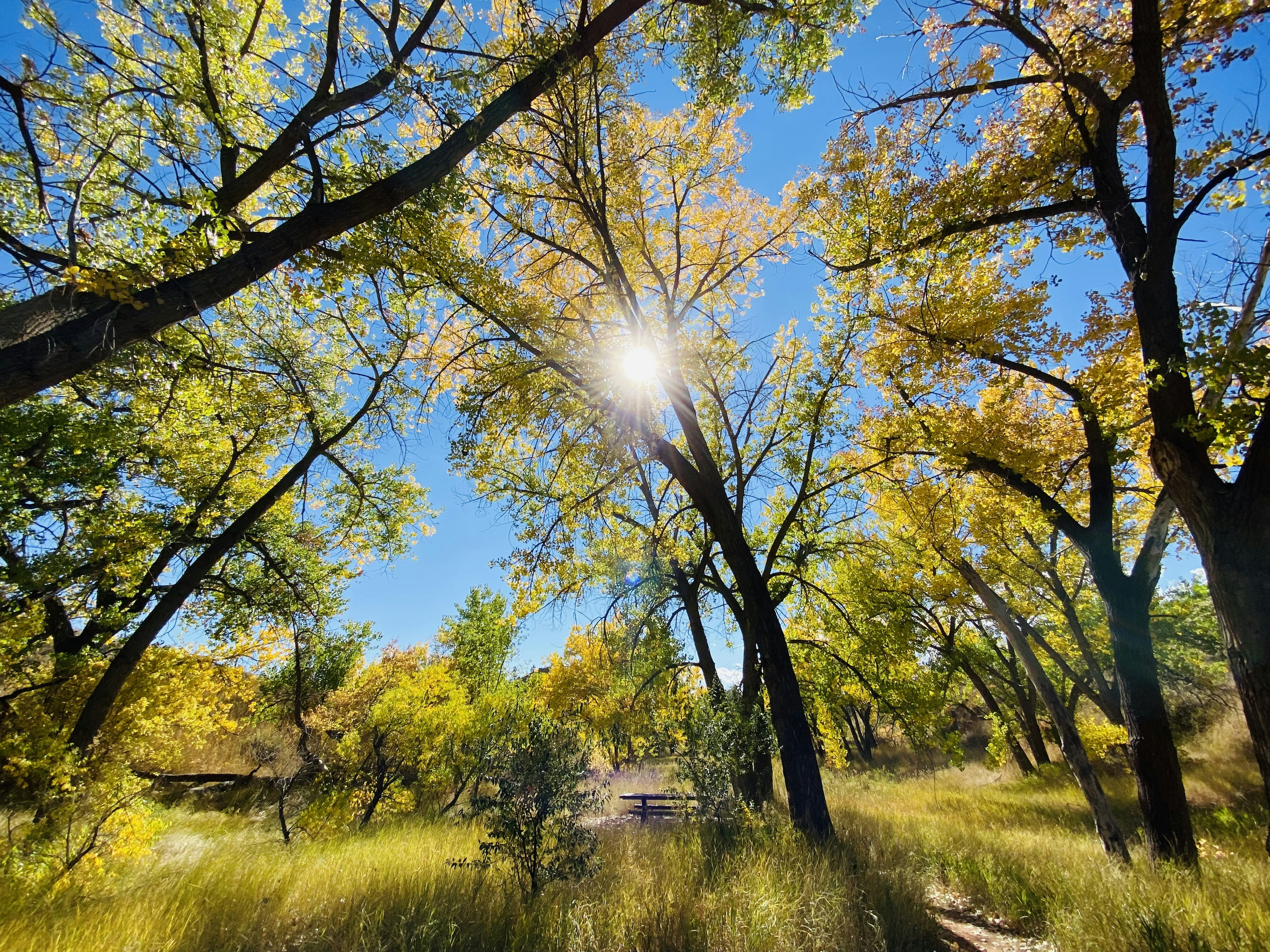 Photo by jakegriesemer