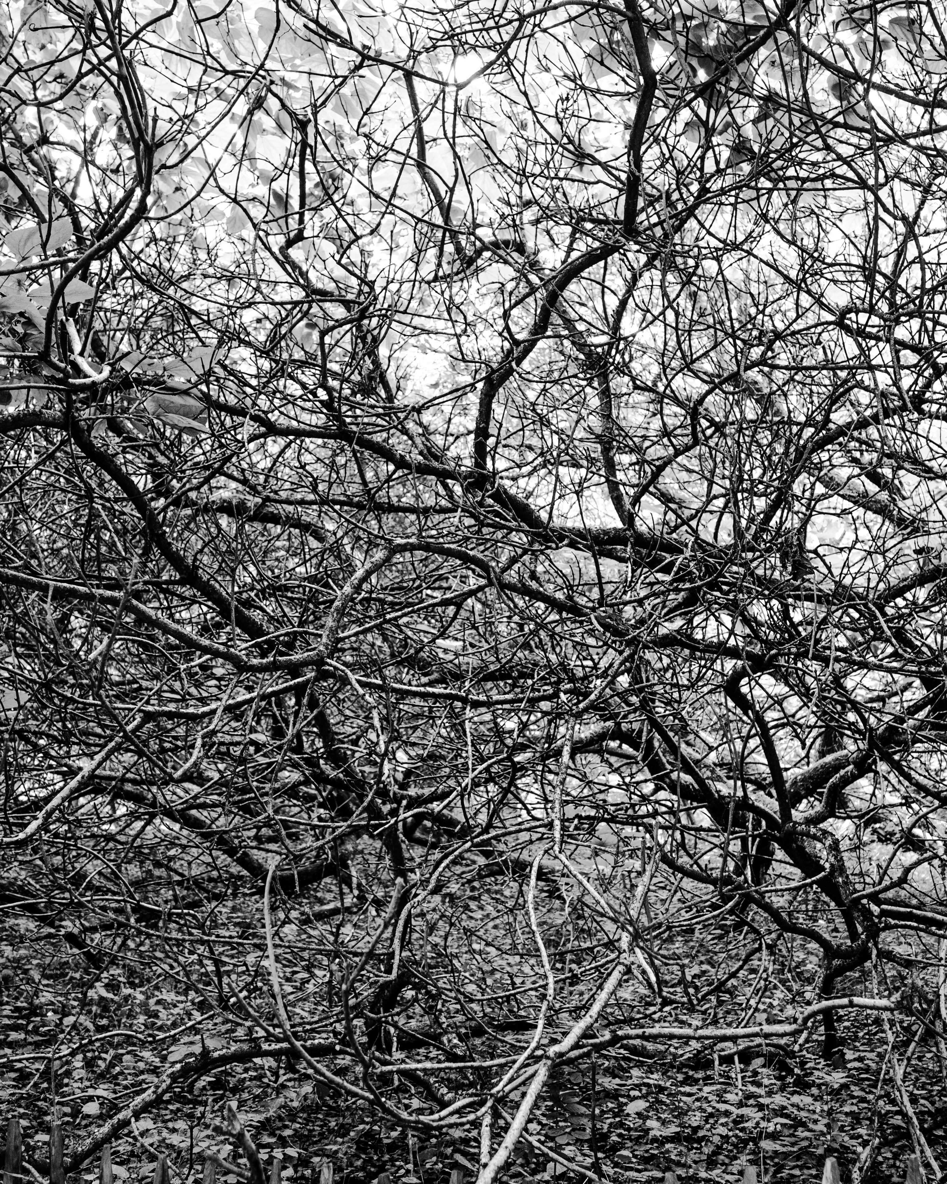 Photo by roaming_angel