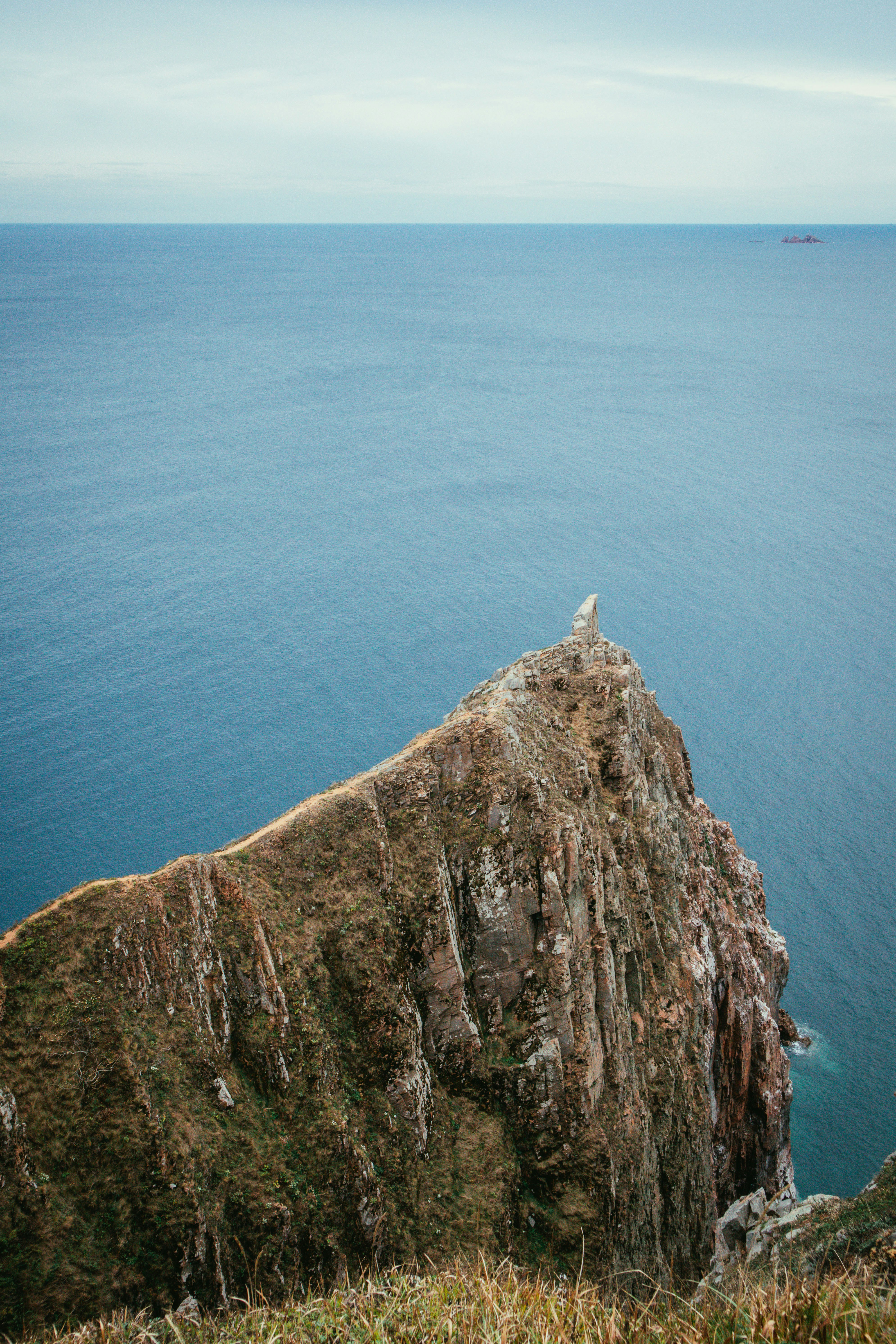 a sheep standing on top of a cliff next to the ocean