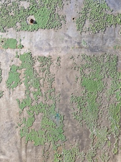A close-up view of a weathered metal surface with patches of peeling green paint, revealing a rough texture. The paint is unevenly distributed and there are several small holes in the metal.