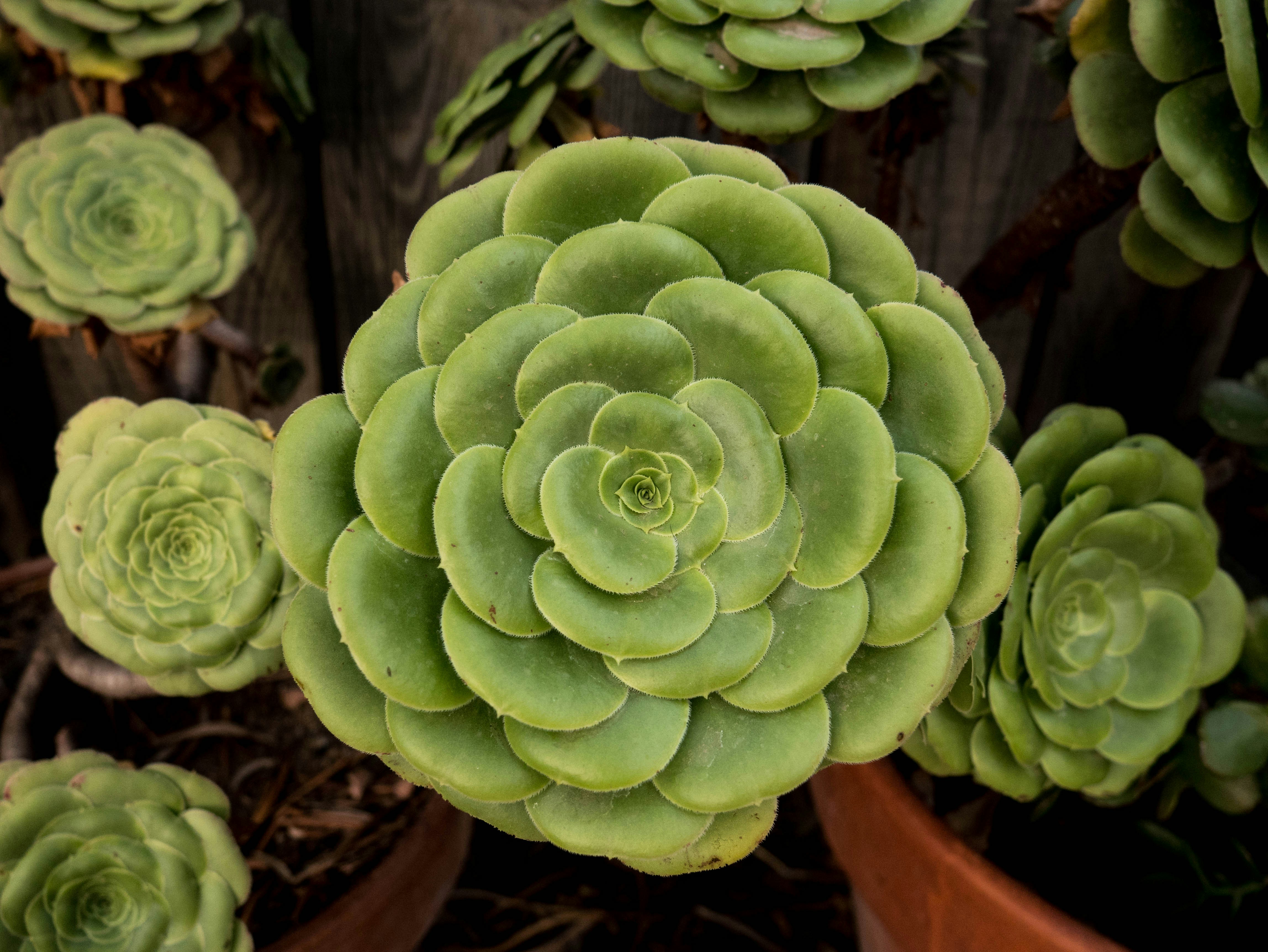 Photo by tommycornilleau