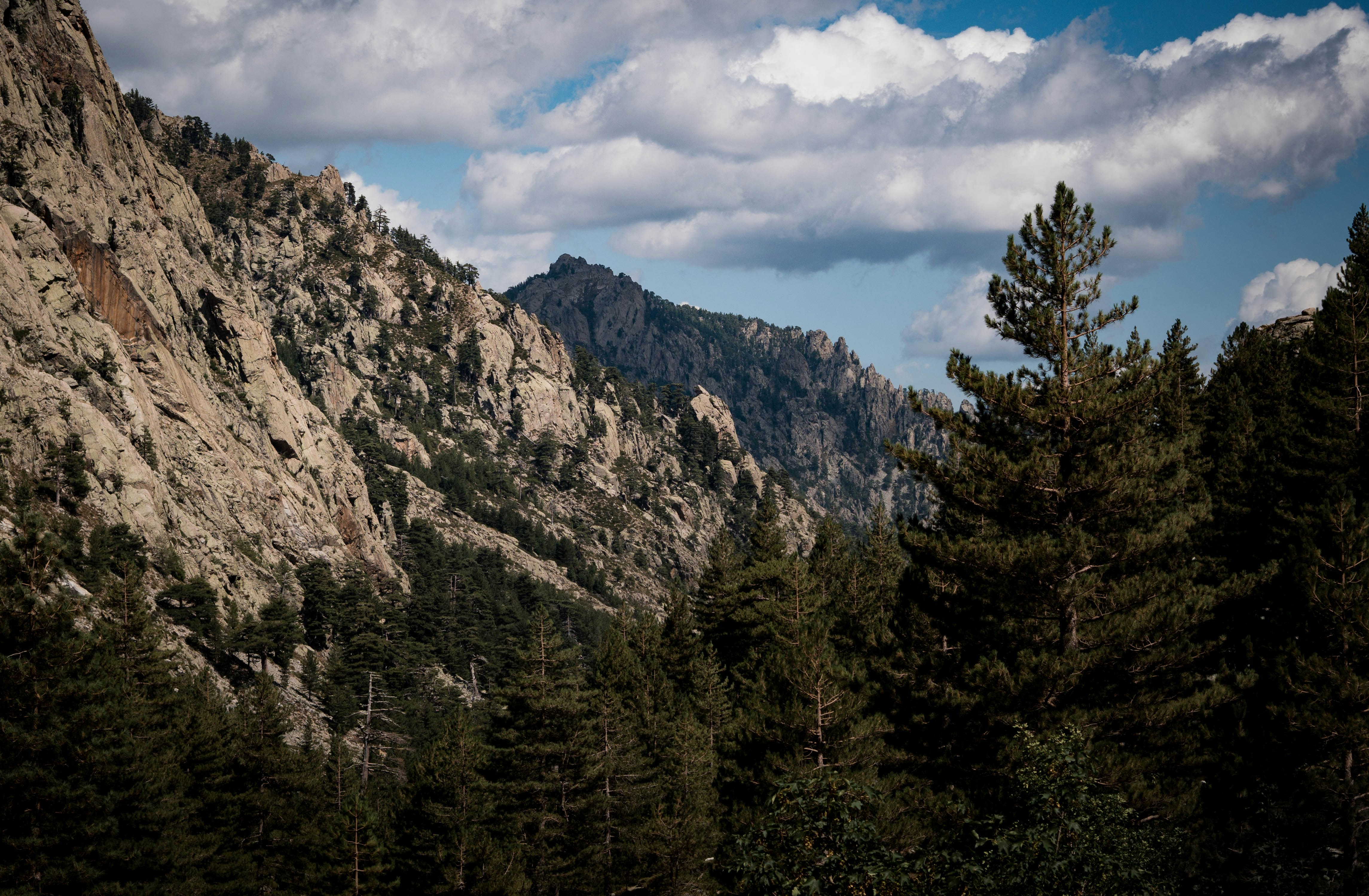 Photo by tommycornilleau