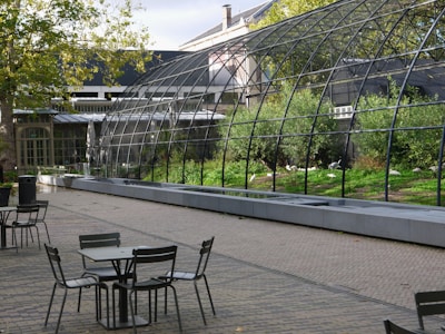 Outdoor communal area with seating and greenery.