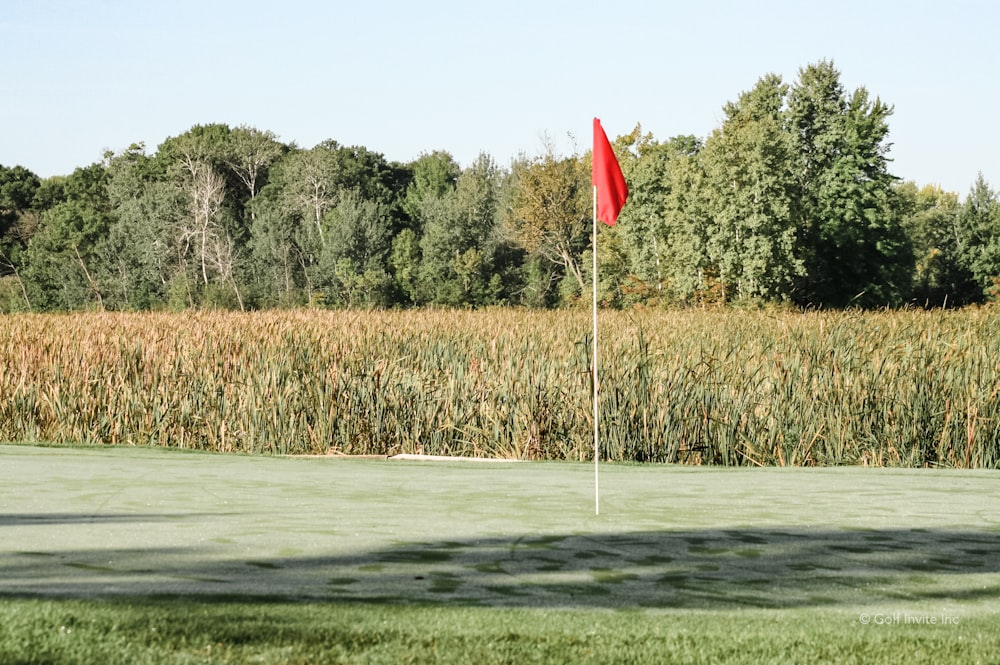 a red flag on a green golf course