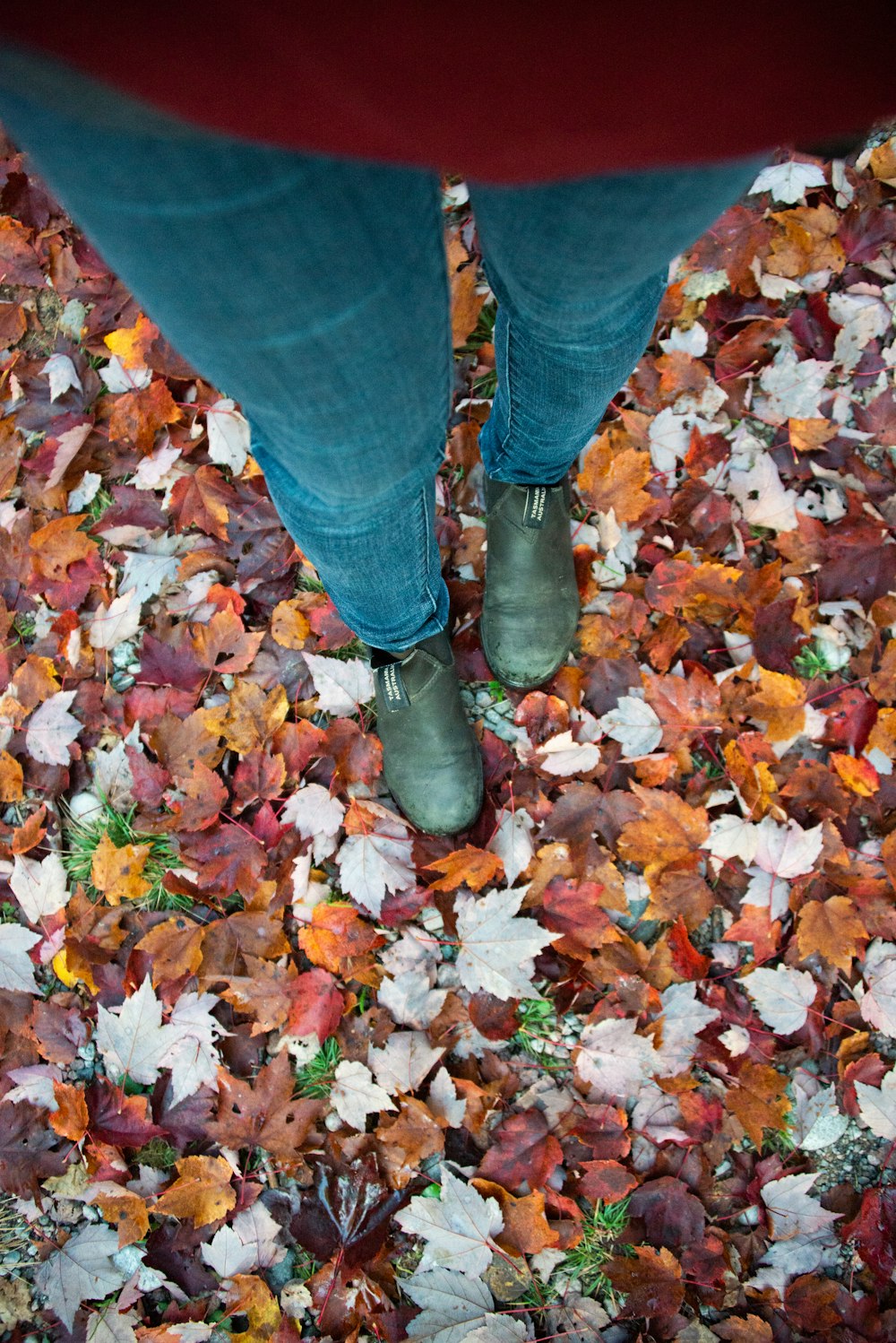 a person standing in a pile of leaves