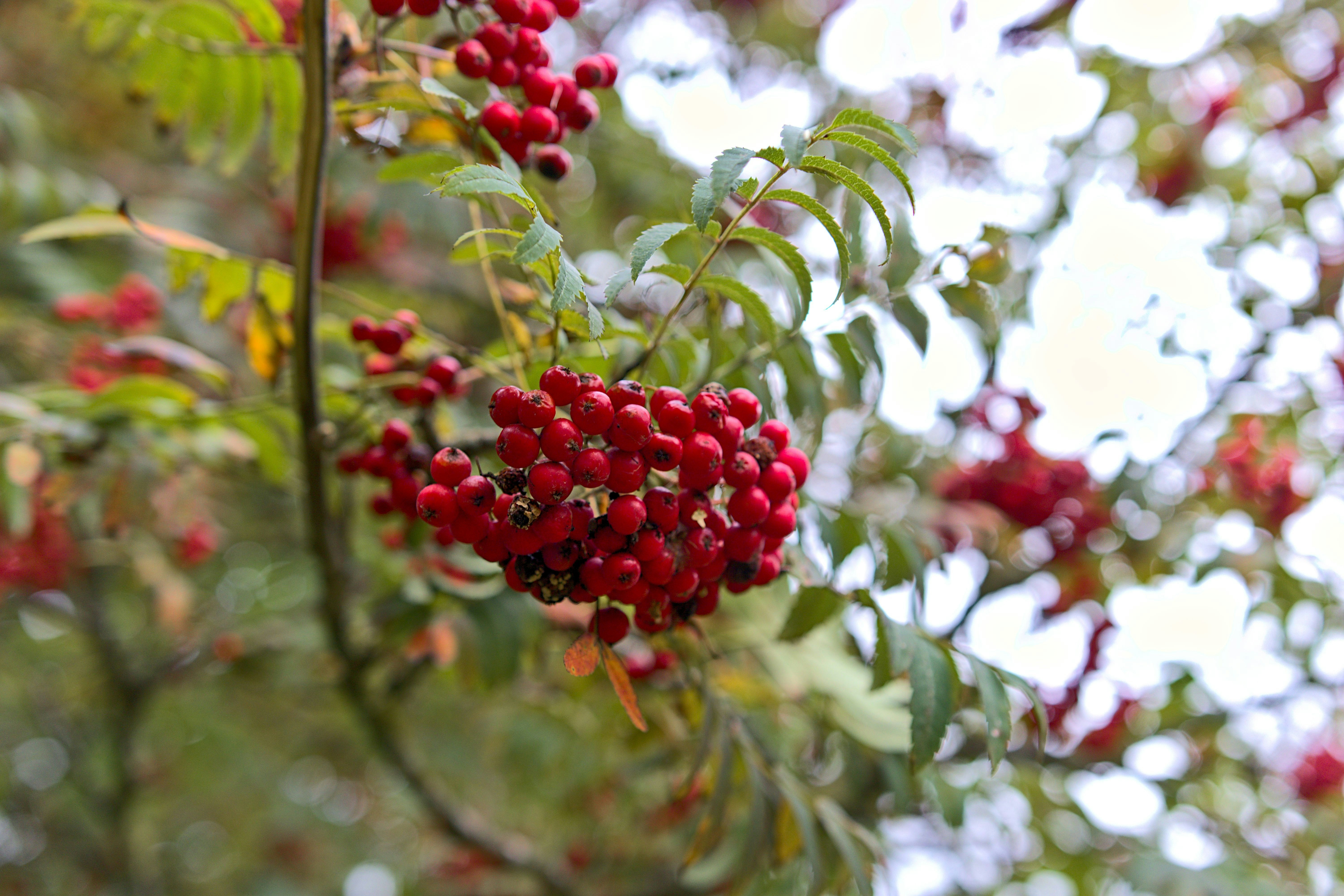 Photo by _asimrehman