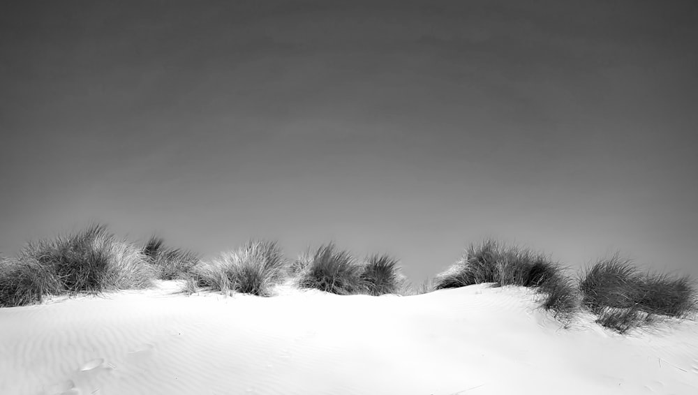 a black and white photo of sand dunes