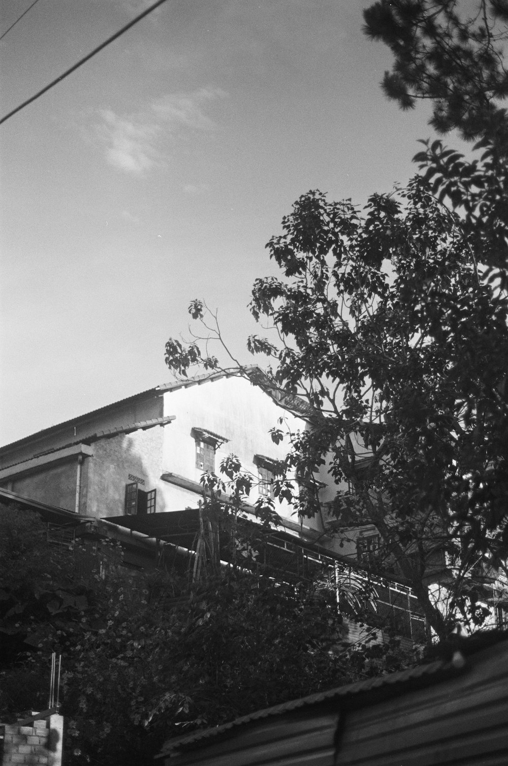 a black and white photo of a house and trees