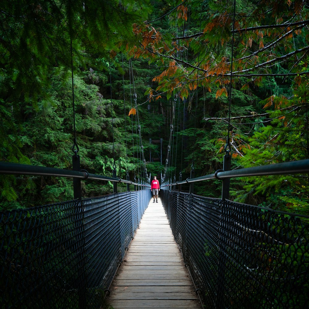 two people walking across a bridge in a forest