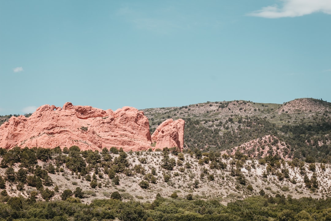 a large rock formation in the middle of a forest, Stones in front of stones.