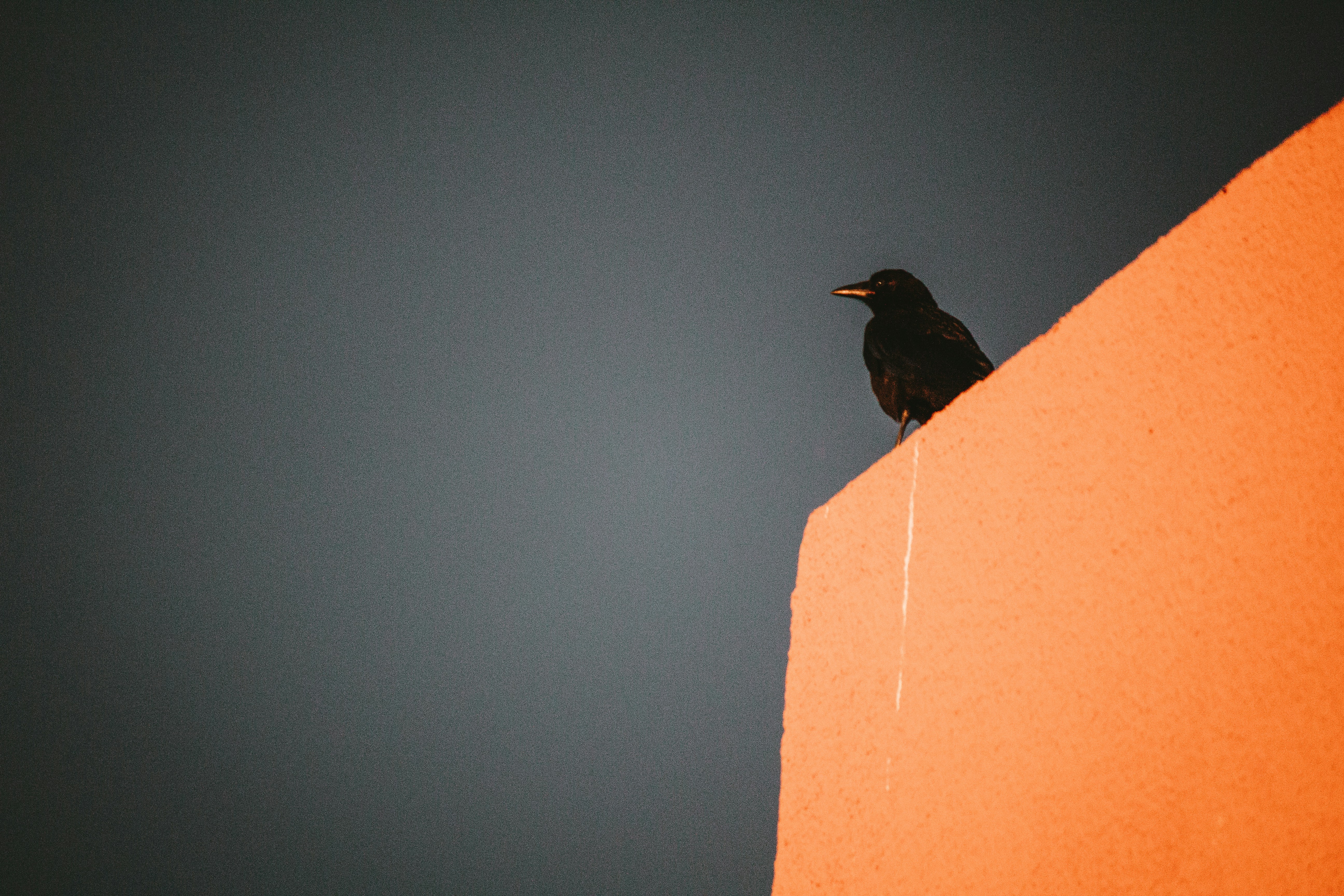 Photo by fosterious