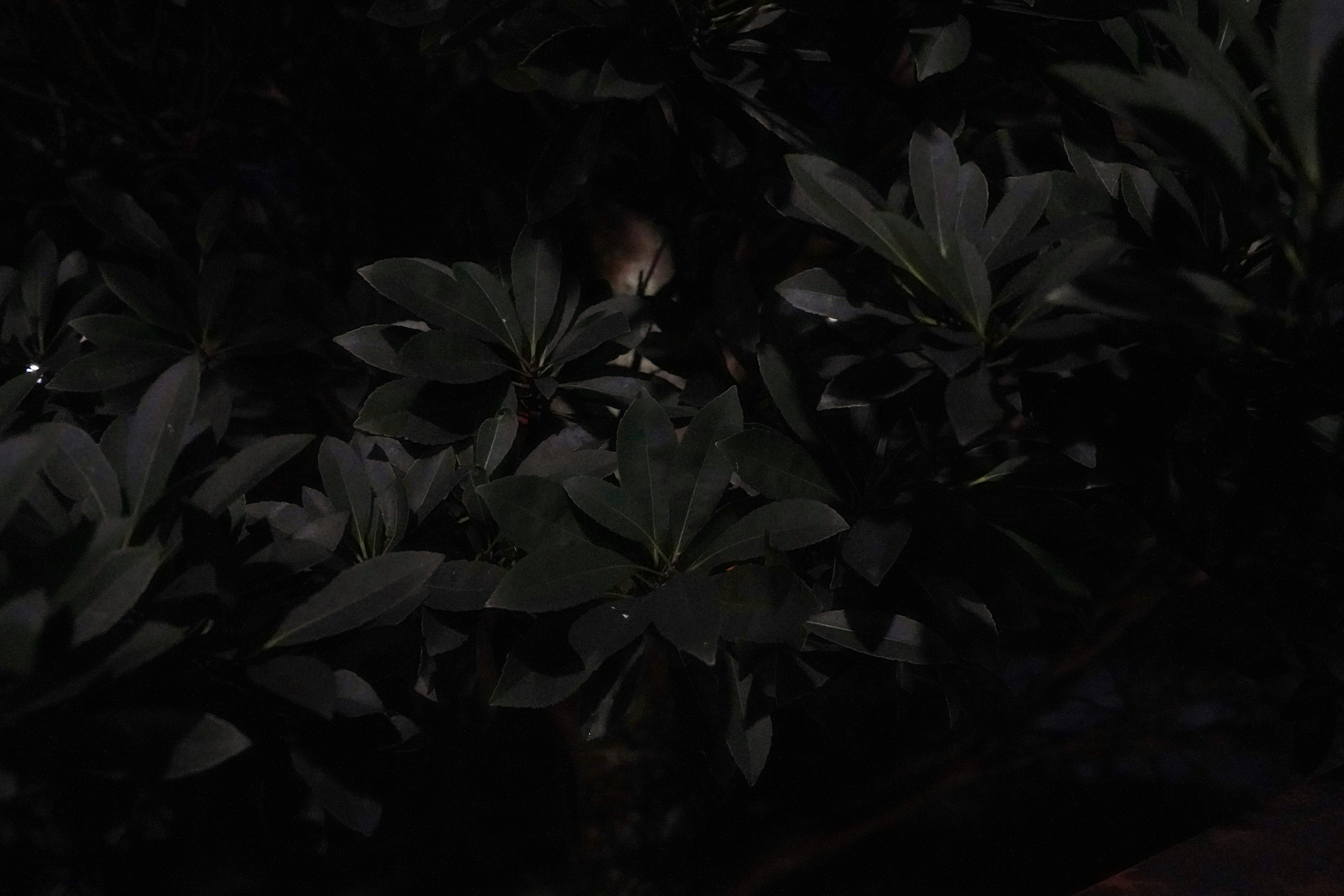 Photo by victoriyaaa