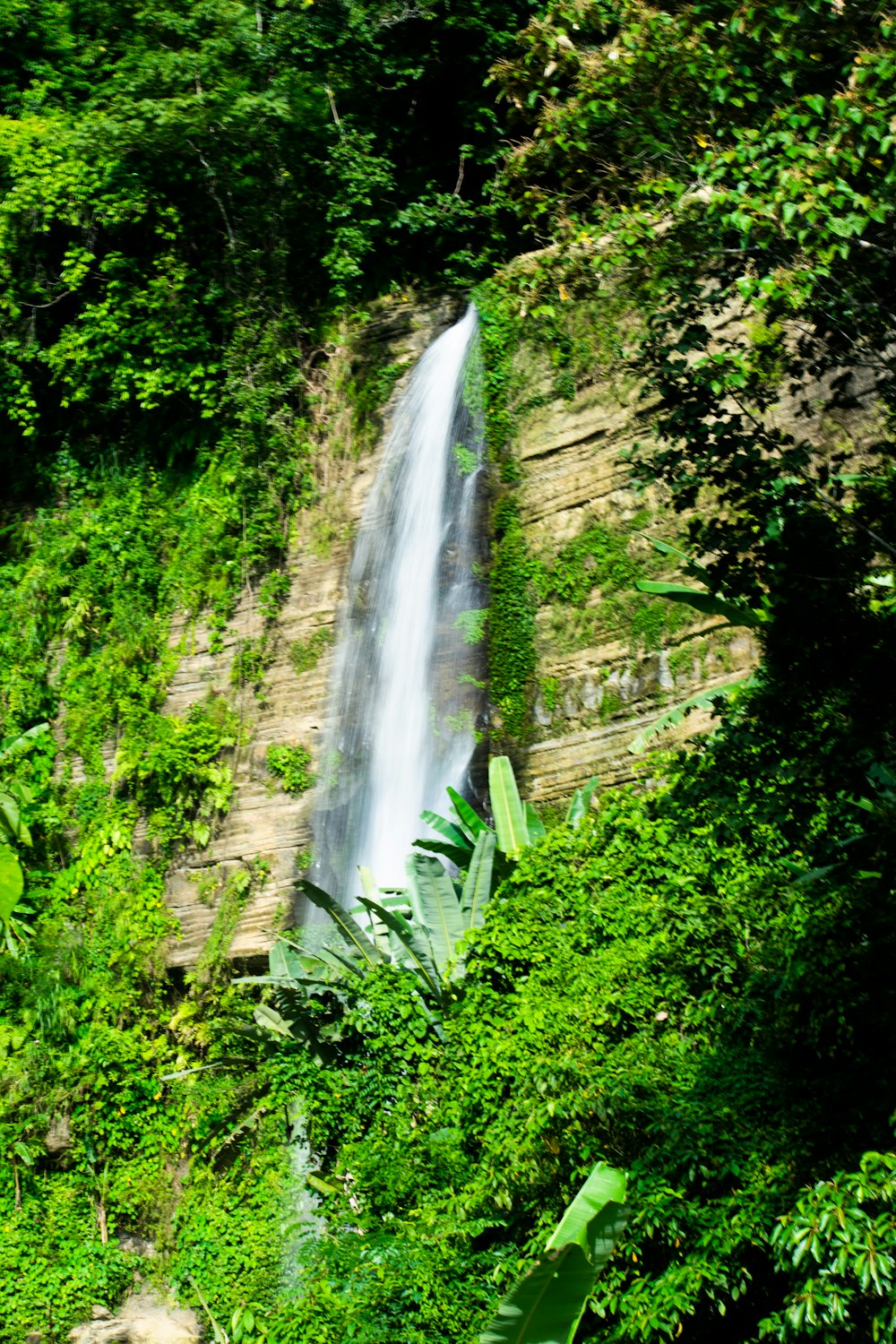 a waterfall in the middle of a lush green forest